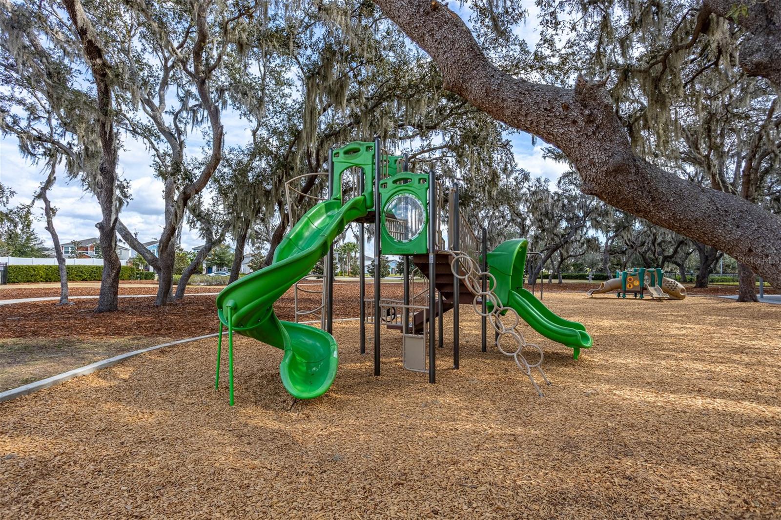 12619 HAMMOCK PARK DR