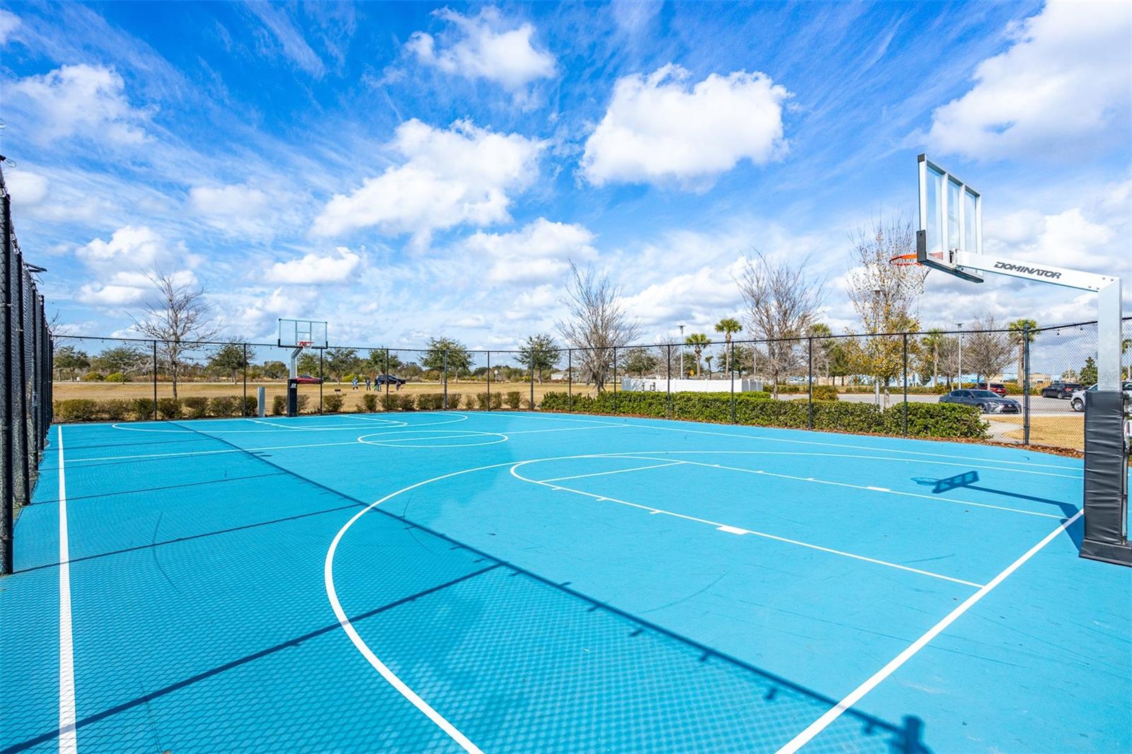 12619 HAMMOCK PARK DR