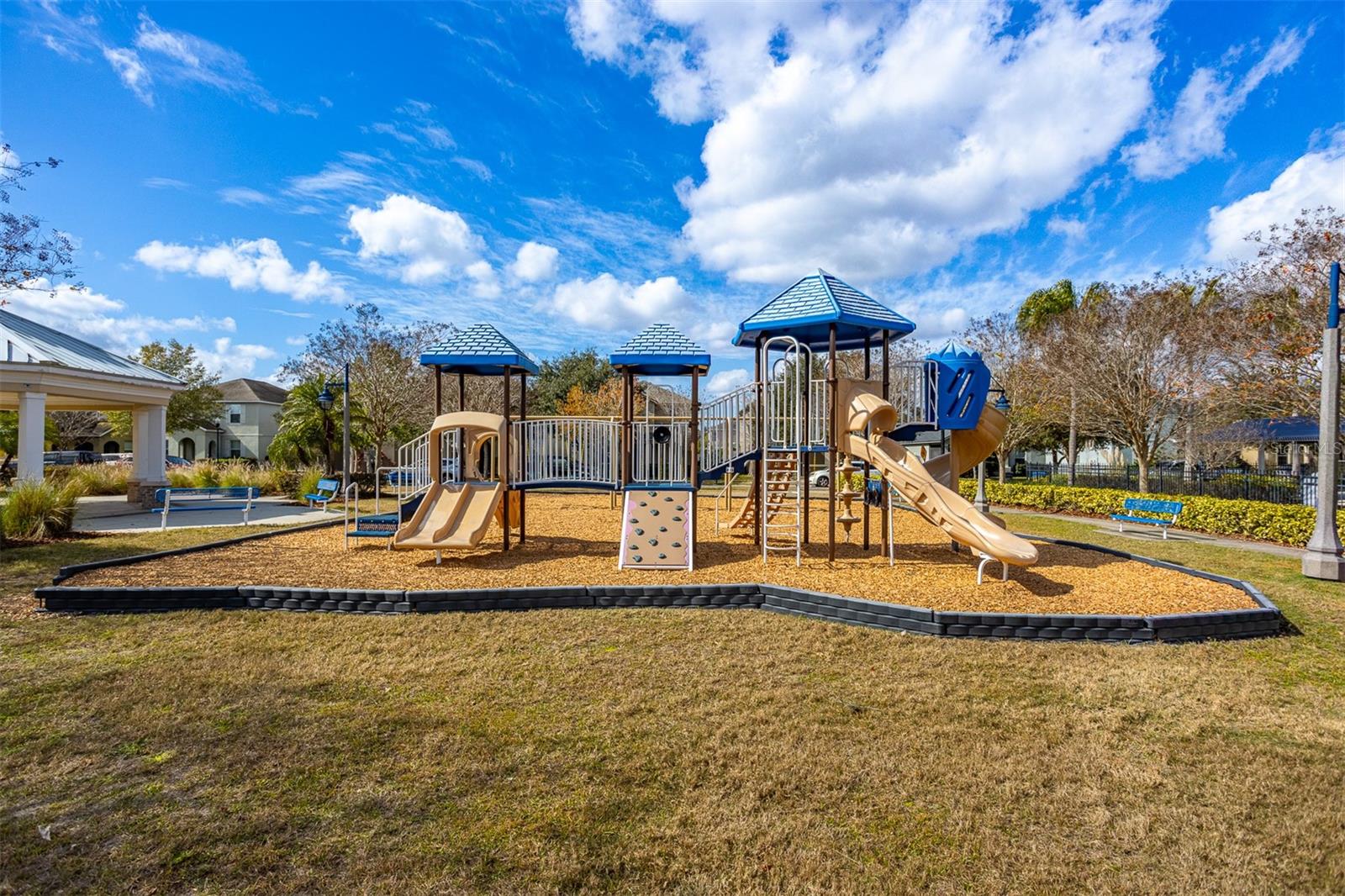 12619 HAMMOCK PARK DR