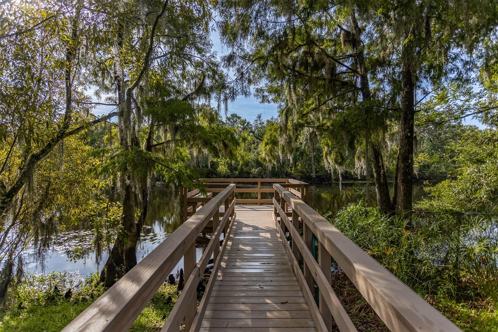 11508 ROBLES DEL RIO PL