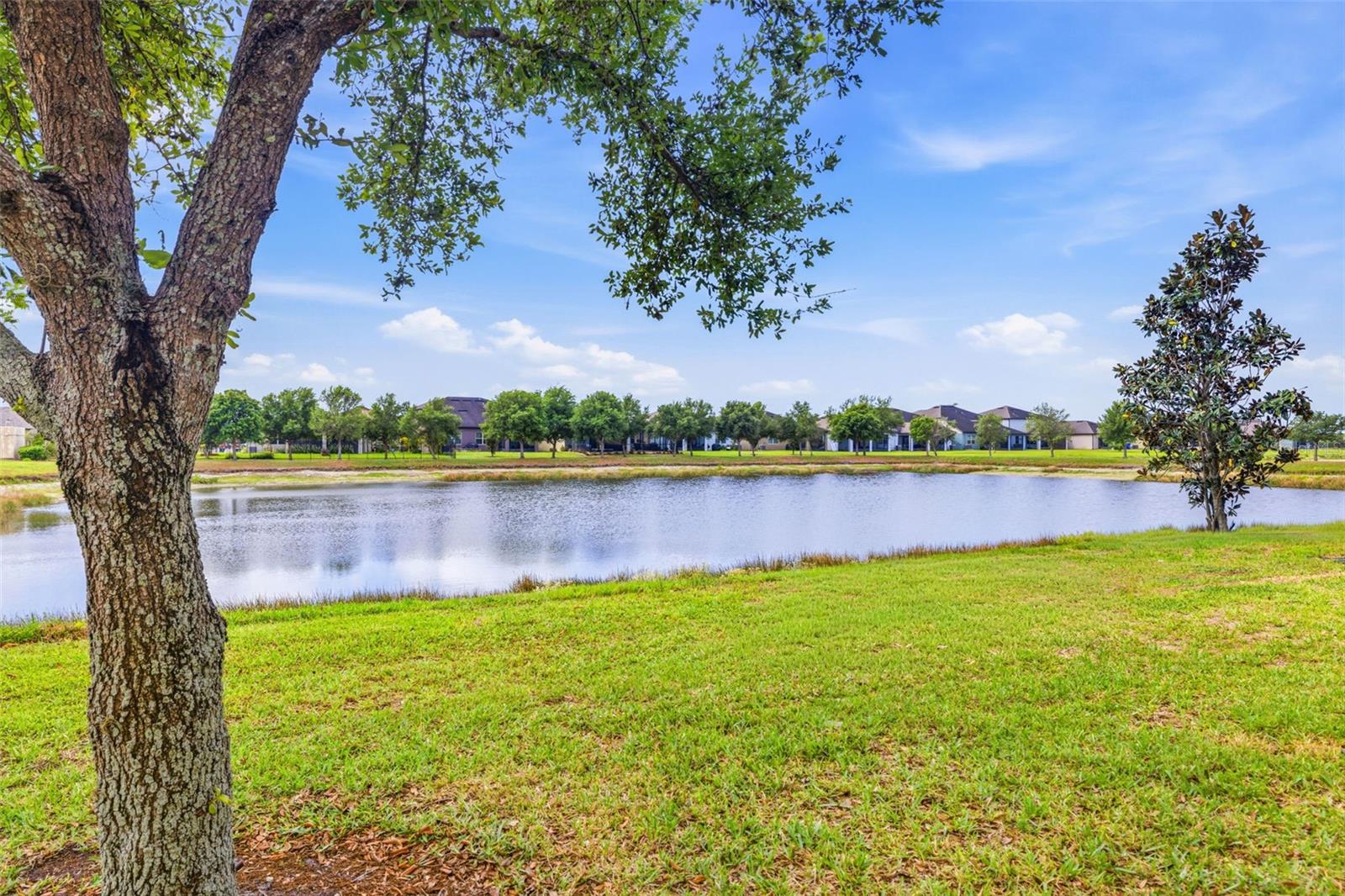 9341 AMERICAN HICKORY LN