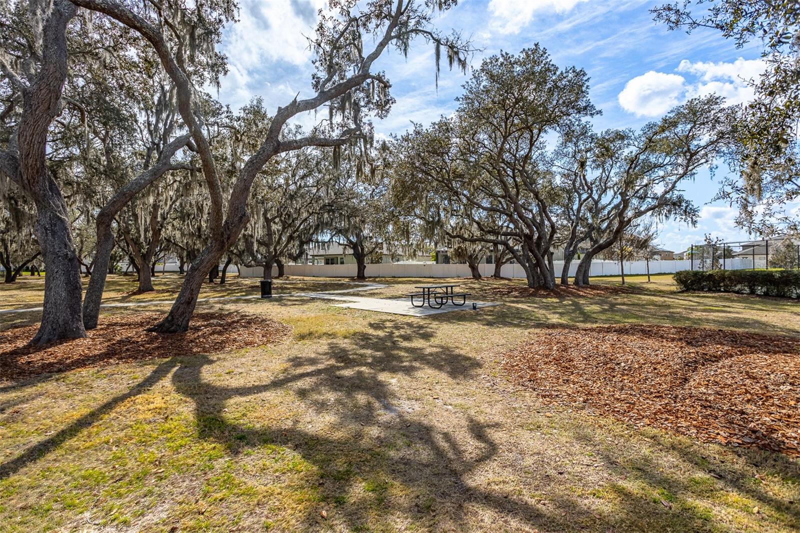 12619 HAMMOCK PARK DR