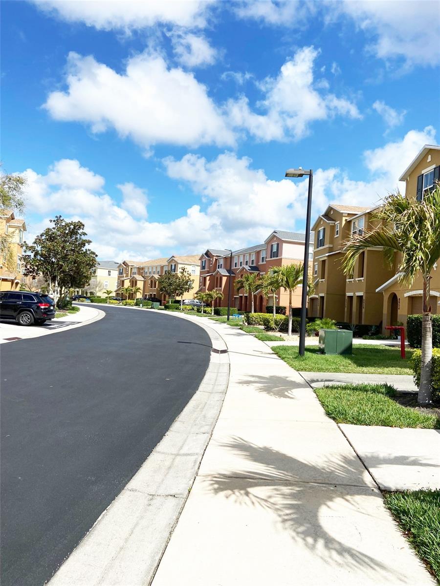 8946 WHITE SAGE LOOP