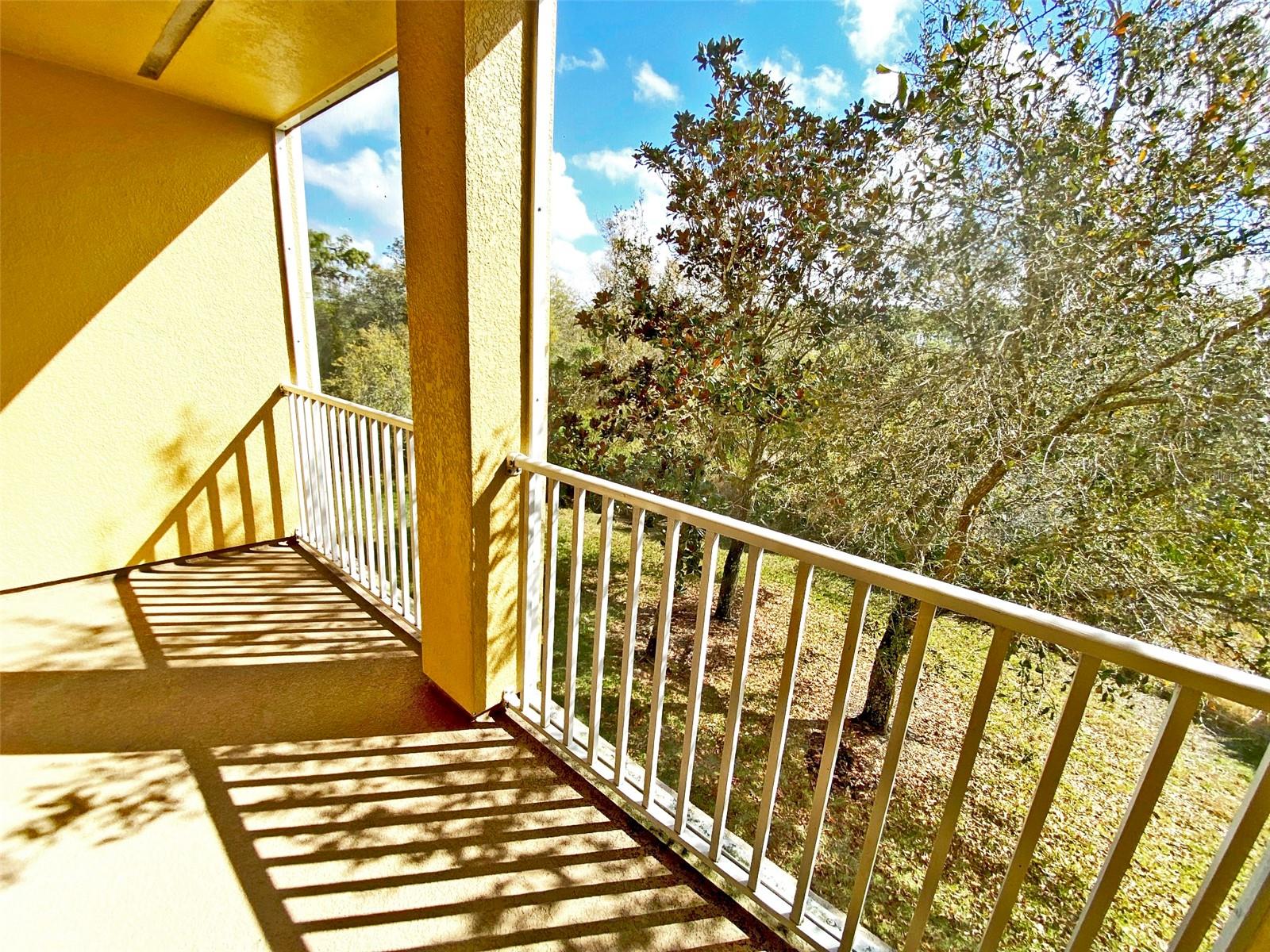 8946 WHITE SAGE LOOP