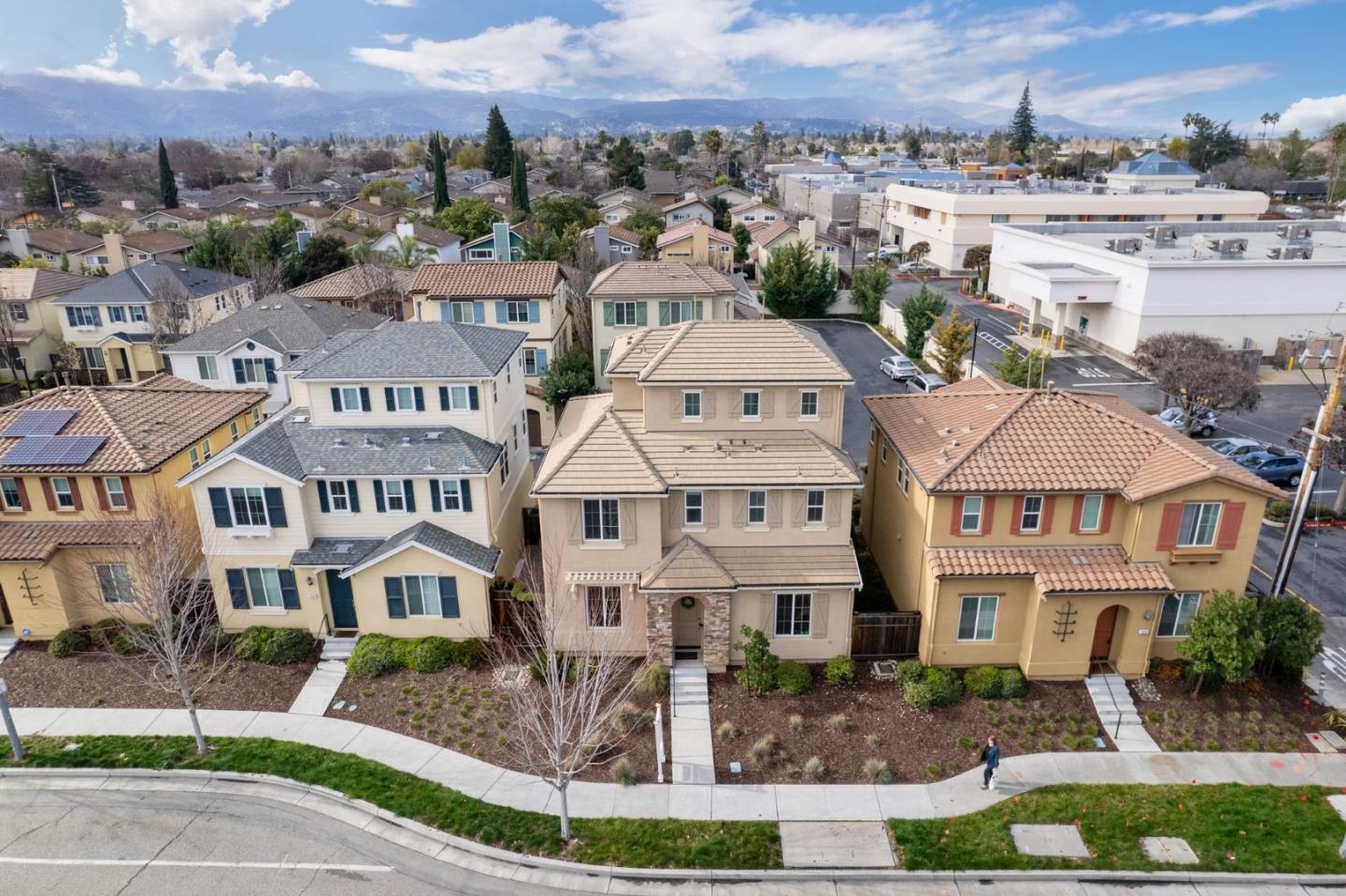 126 English Rose CIR