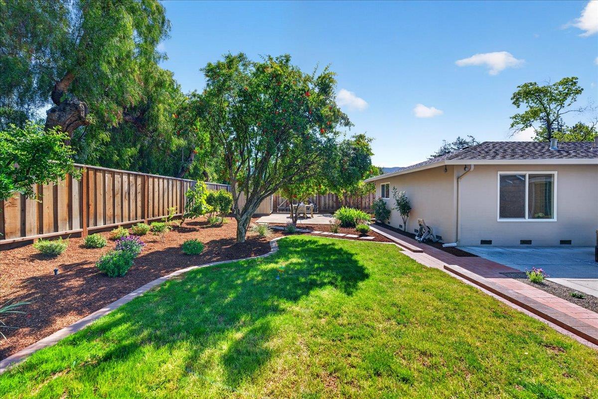 6698 Mt Forest Drive