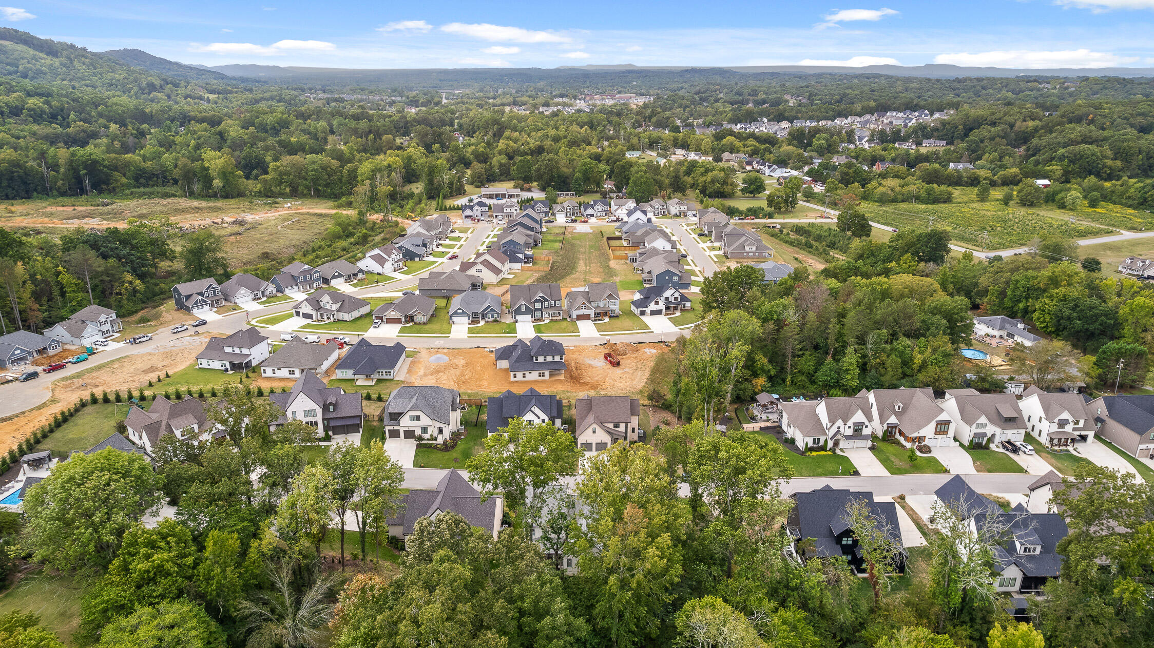 9559 Wolf Creek Trail, 13