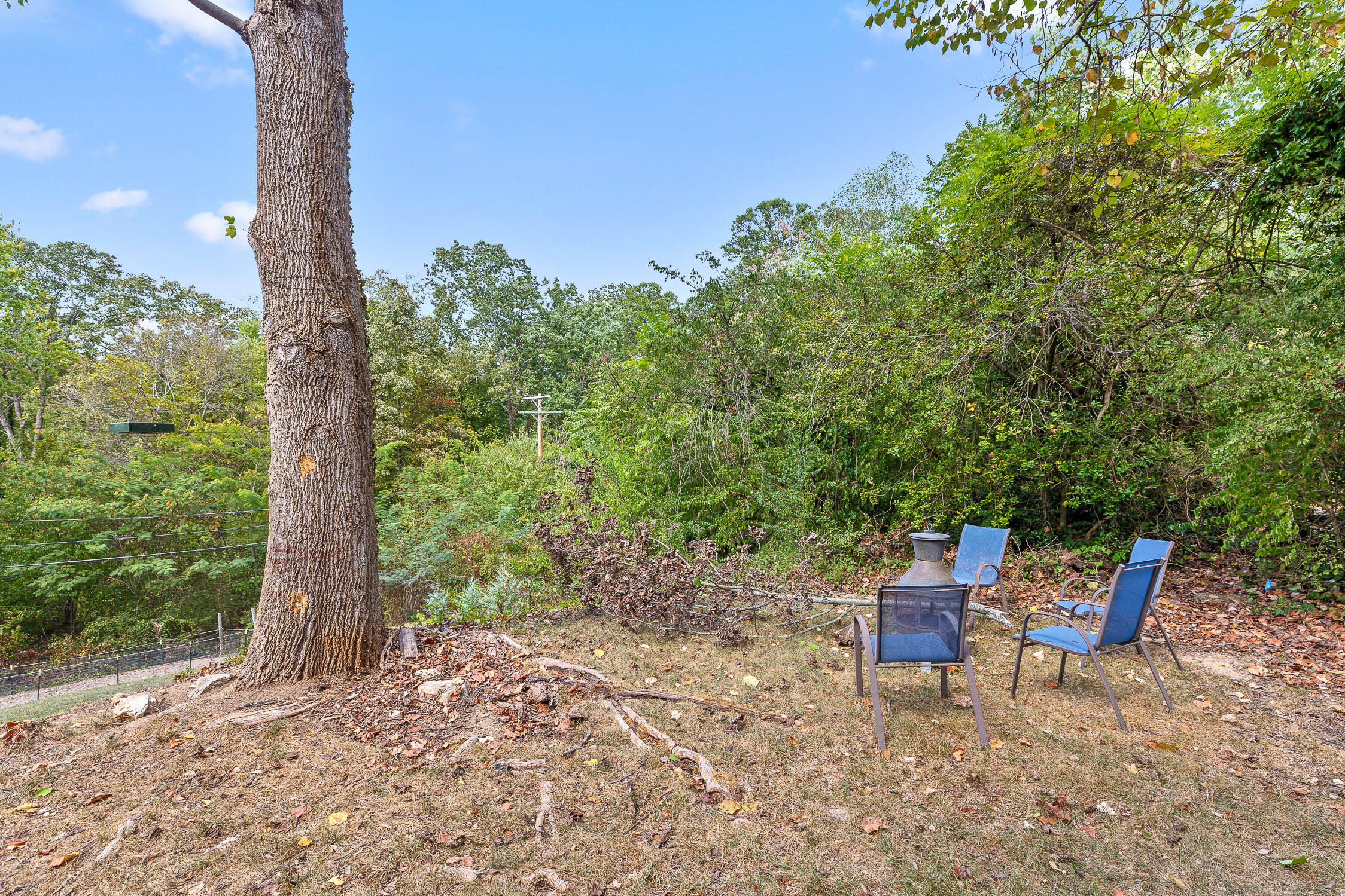 1707 Auburndale Avenue