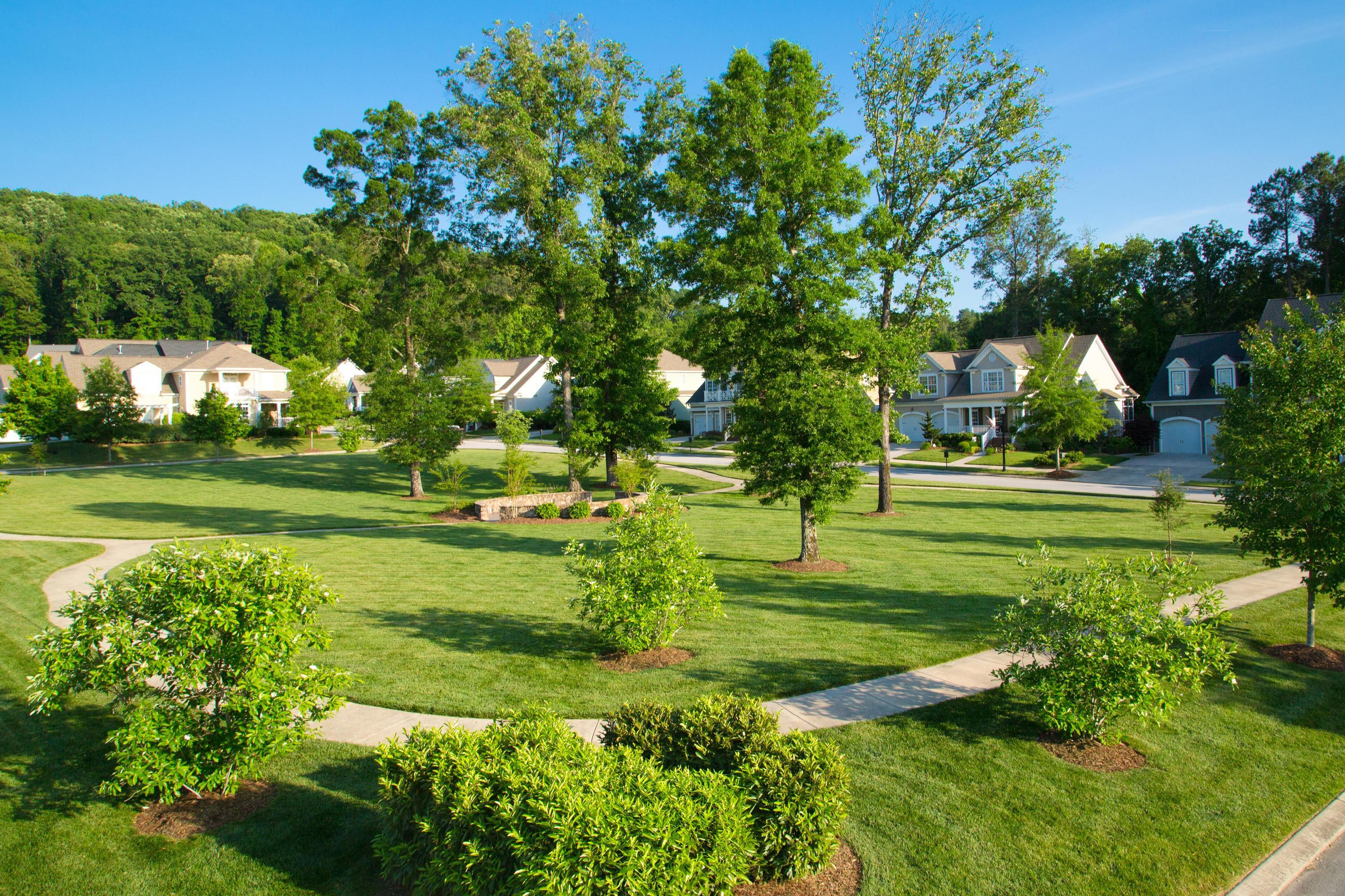 8638 Homecoming Drive