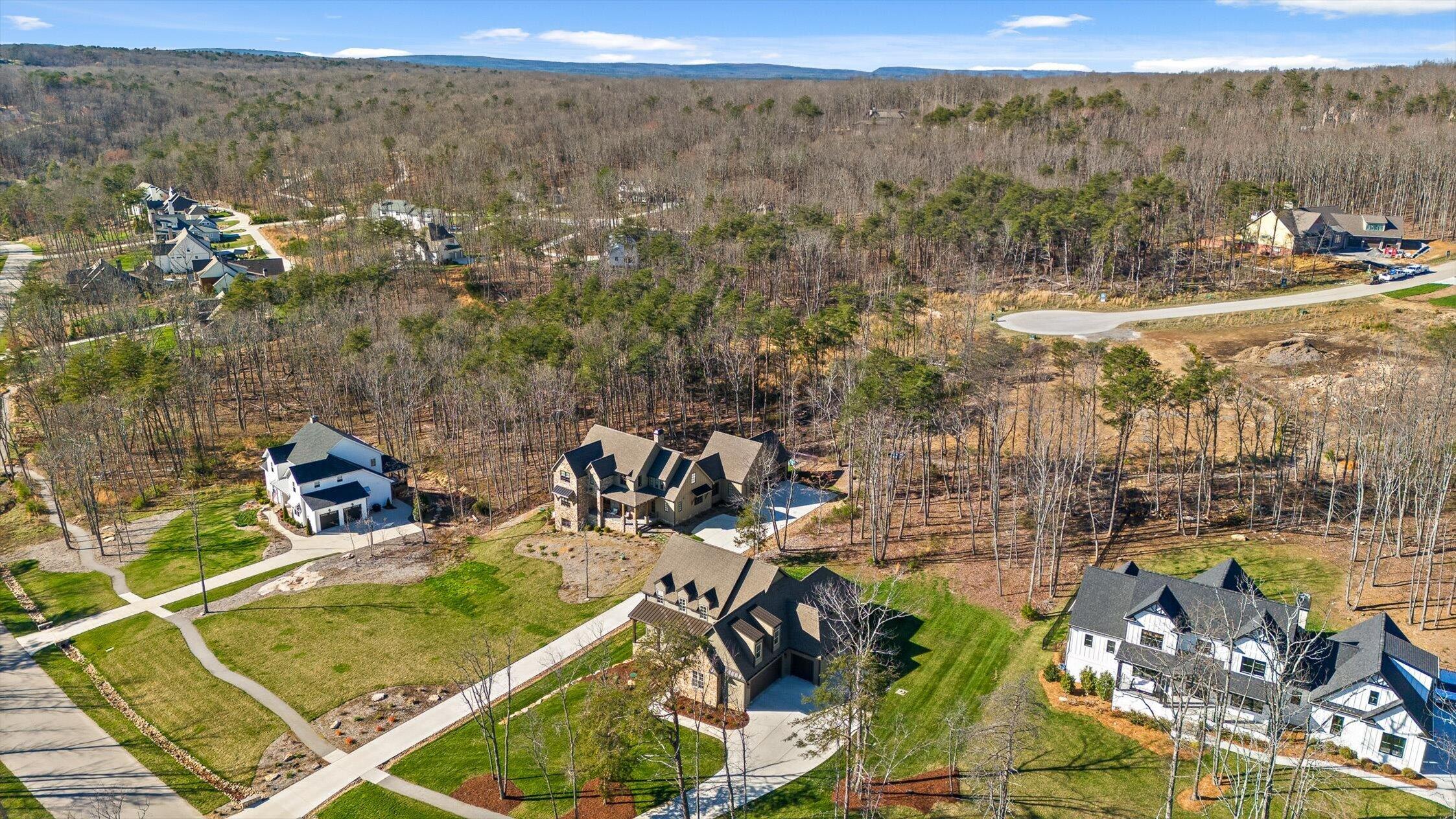 Aerial view of homes among leafless woods, with winding roads and a distant mountain ridge.