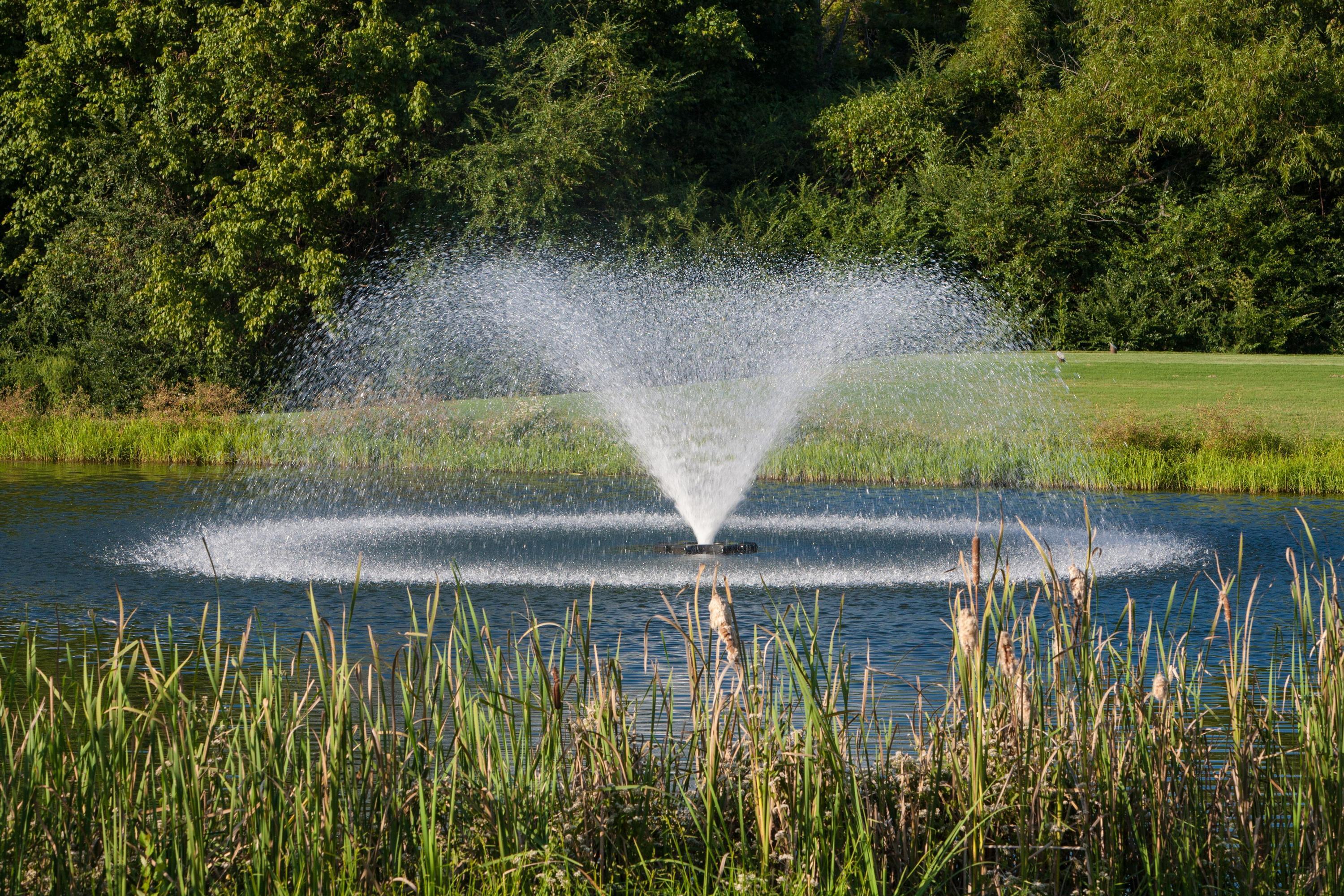 106 Bridgecreek Road