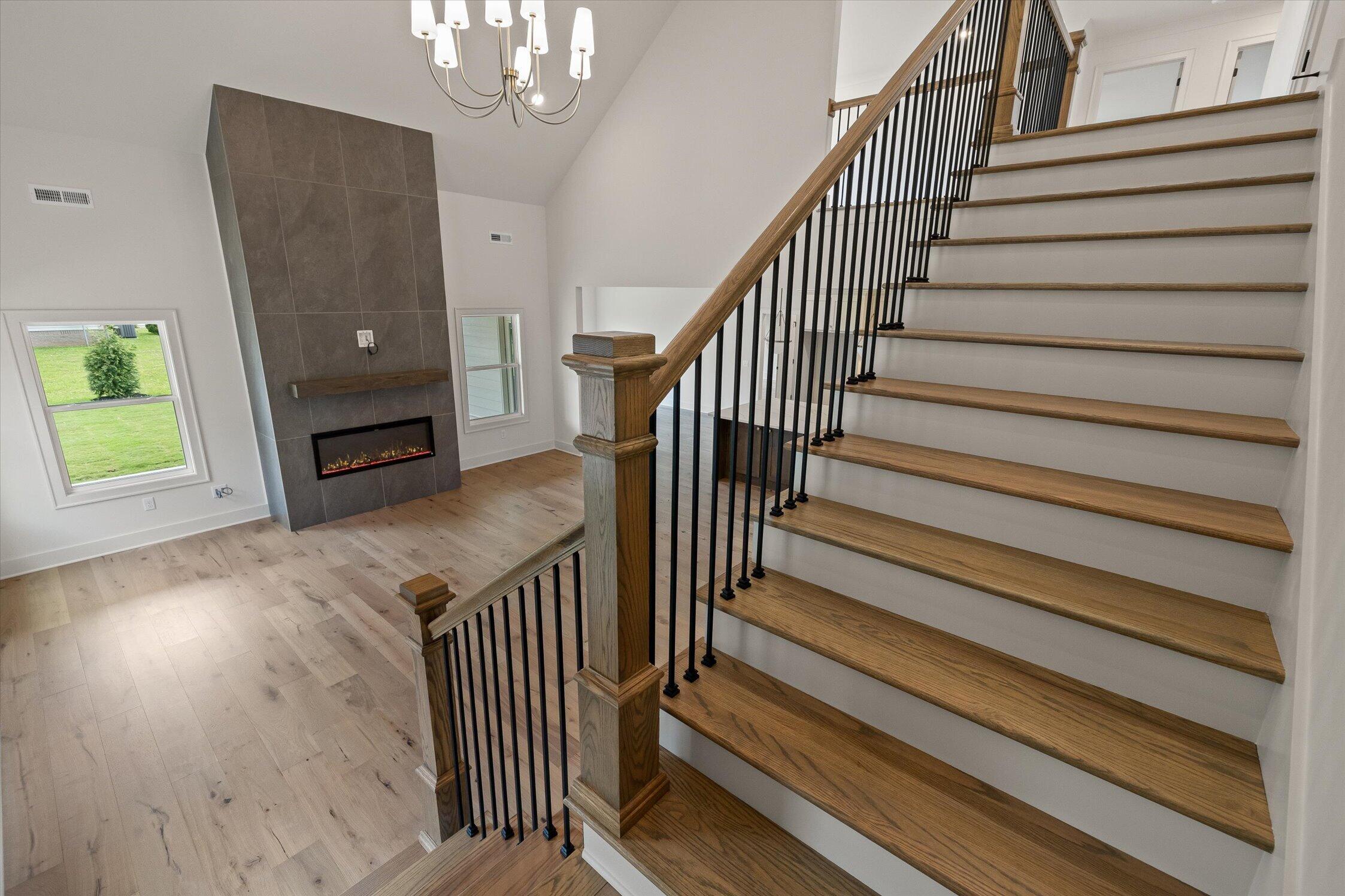 7843 Vervena Drive, 6