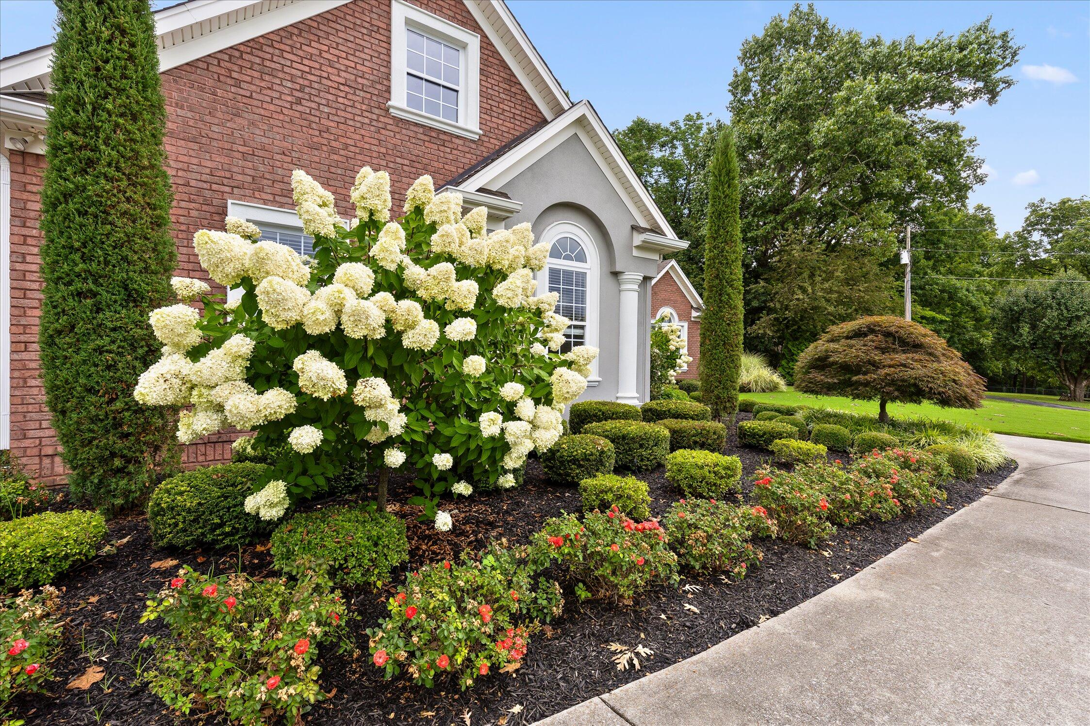 7015 Tenderfoot Trail