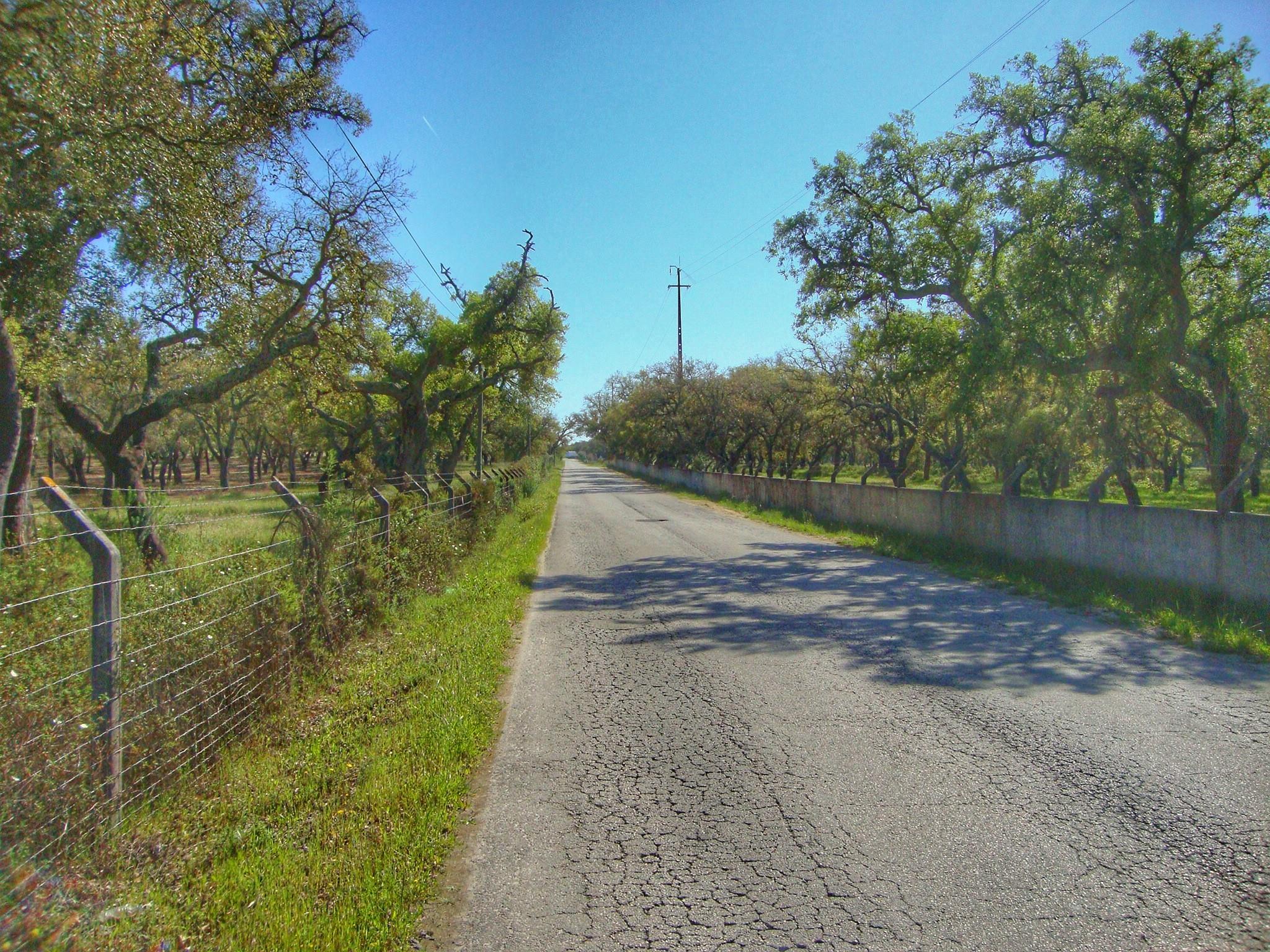 0 Est. Malhada De Meias