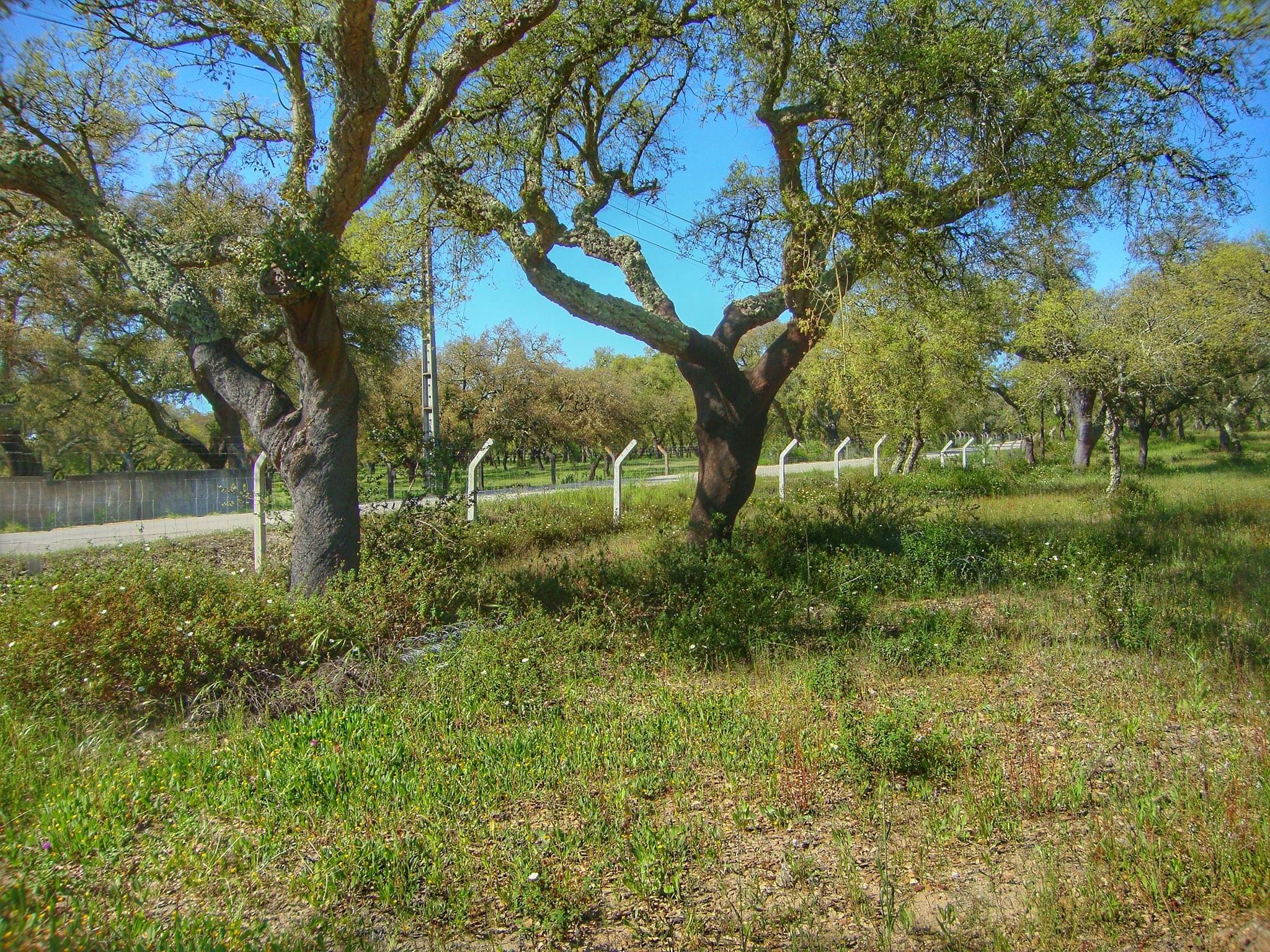 0 Est. Malhada De Meias