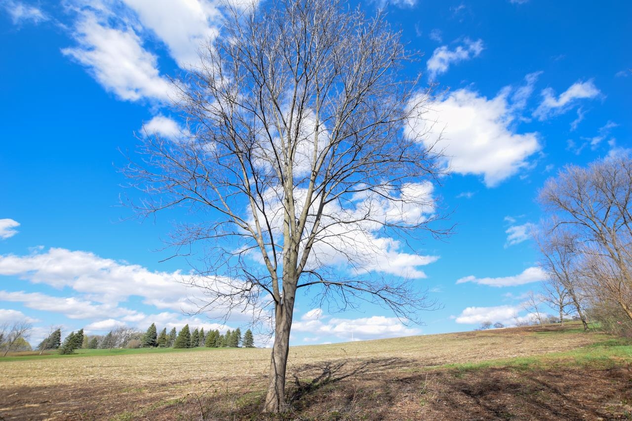 Lot 2 -Sylvester Road