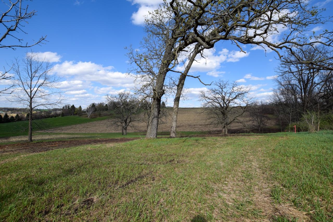 Lot 1 -Sylvester Road