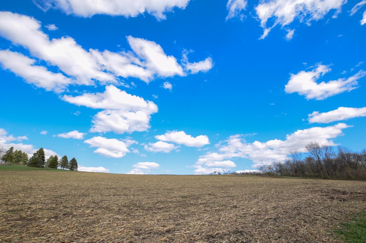 Lot 1 -Sylvester Road