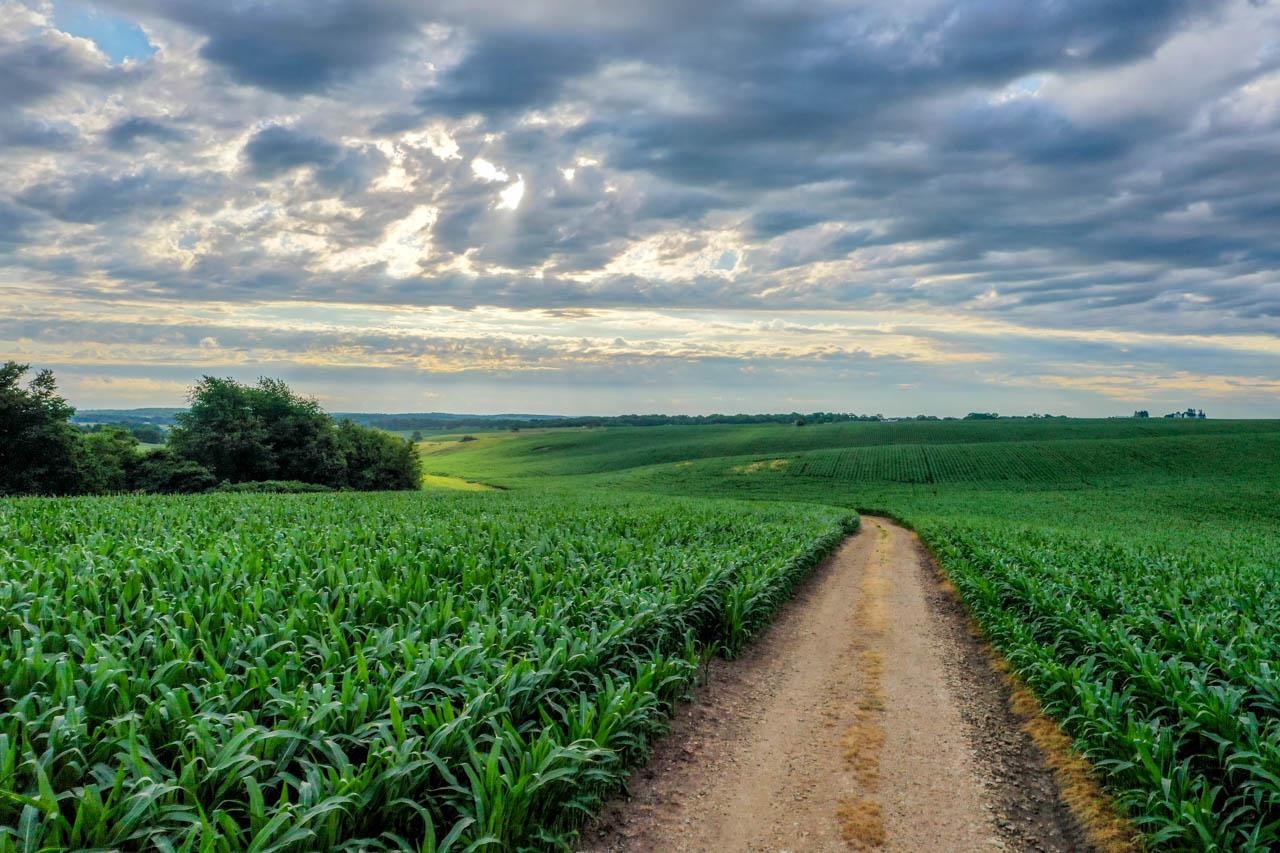 200 +/- Acres County Road DR