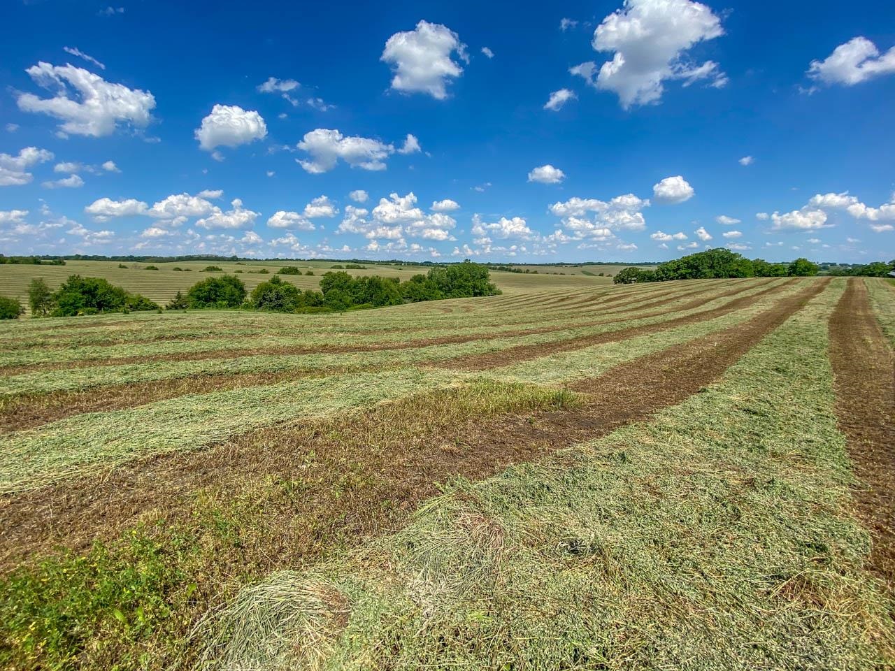 494 +/- Acres County Road Dr