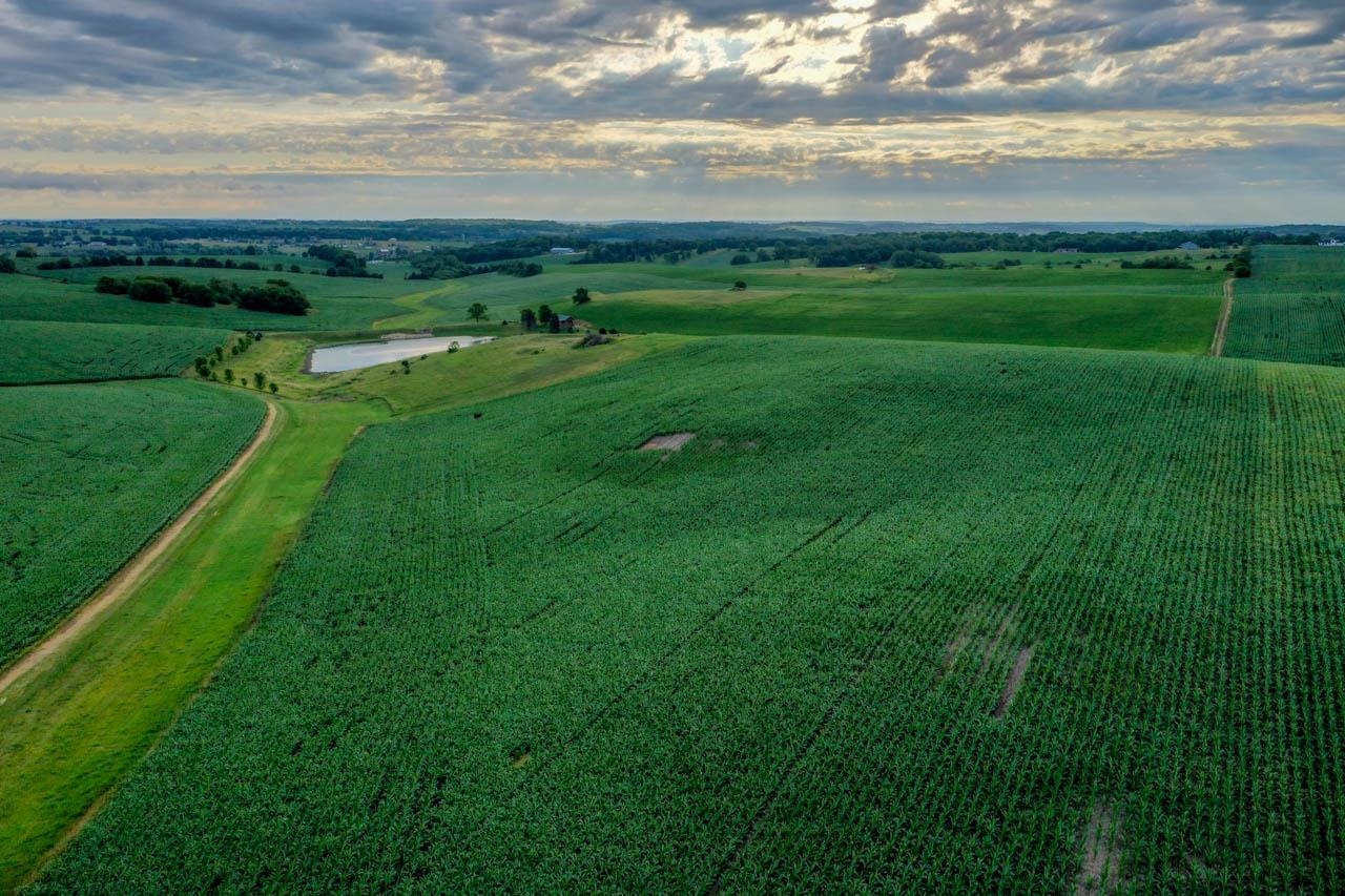 494 +/- Acres County Road Dr