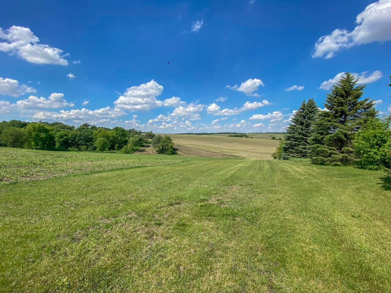 494 +/- Acres County Road Dr