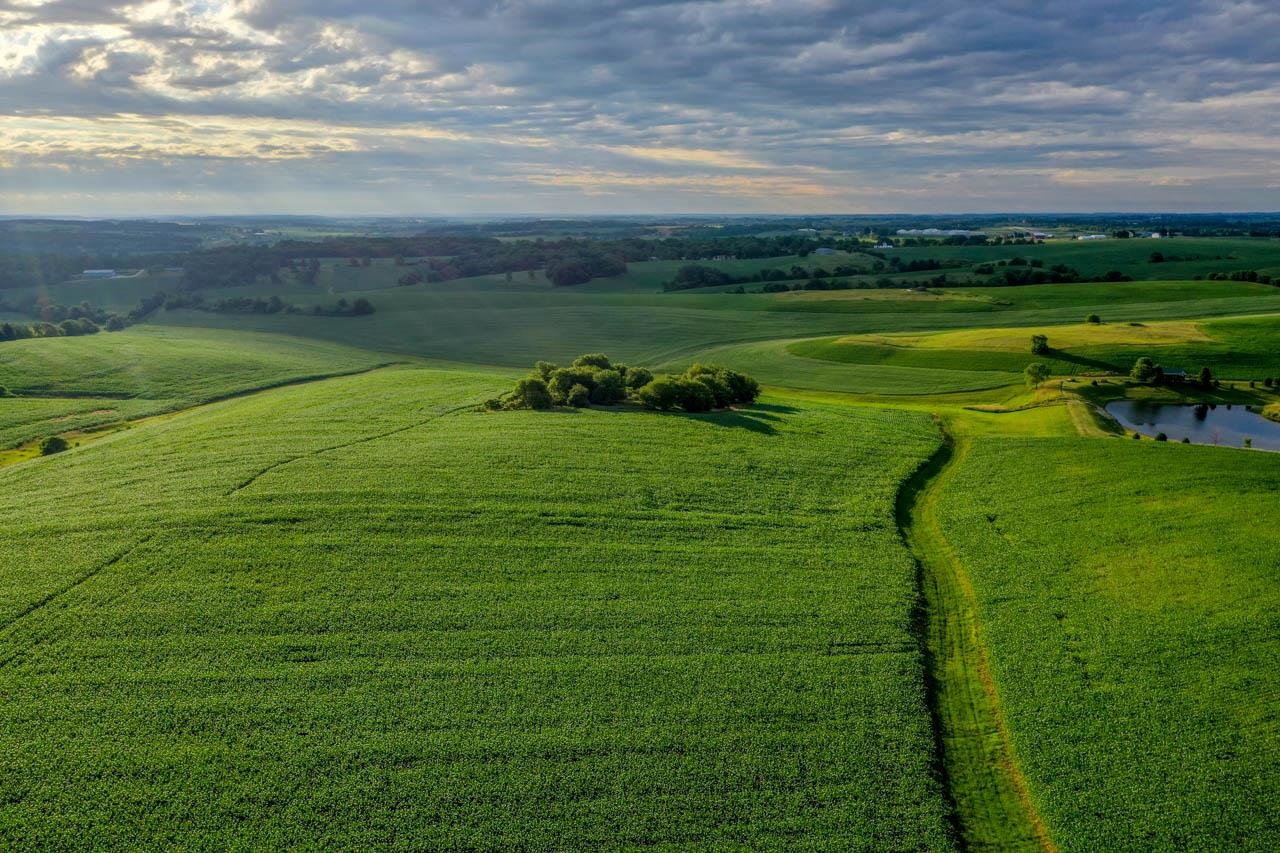 494 +/- Acres County Road Dr