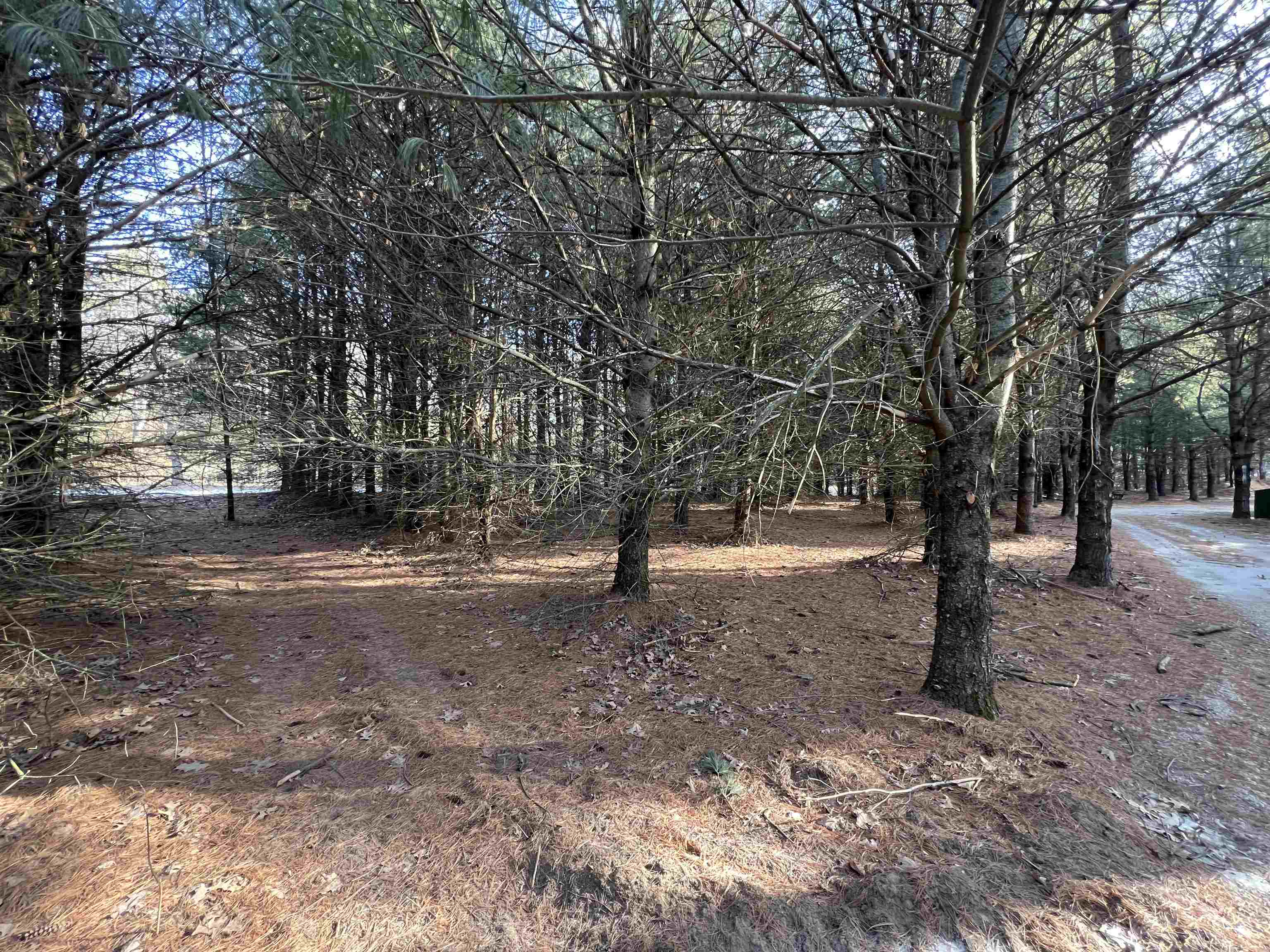 Lot 1 Sandy Pines Court
