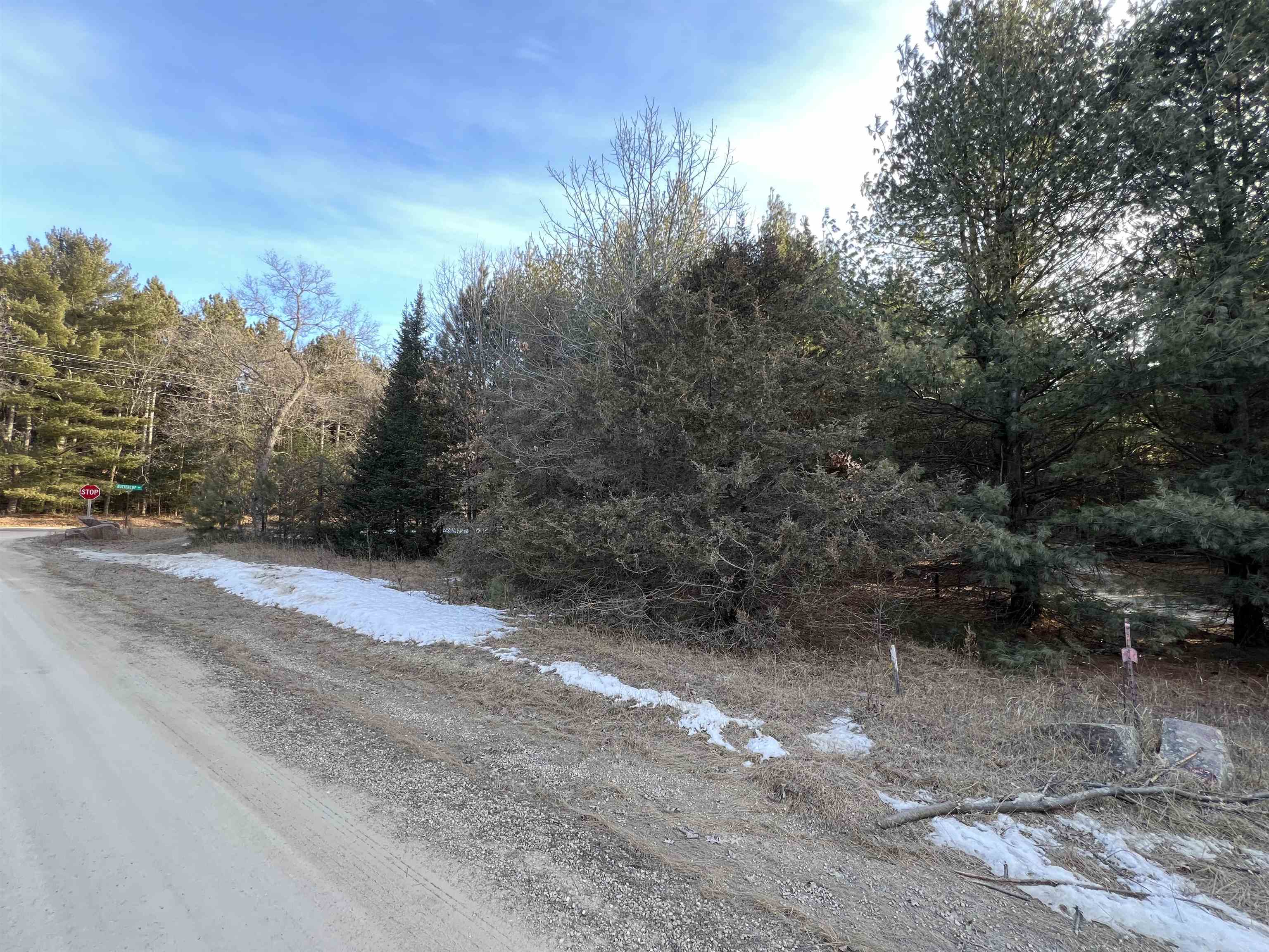 Wooded vacant lot beside a gravel road, marked by survey stakes and bordered by trees with patches of snow.