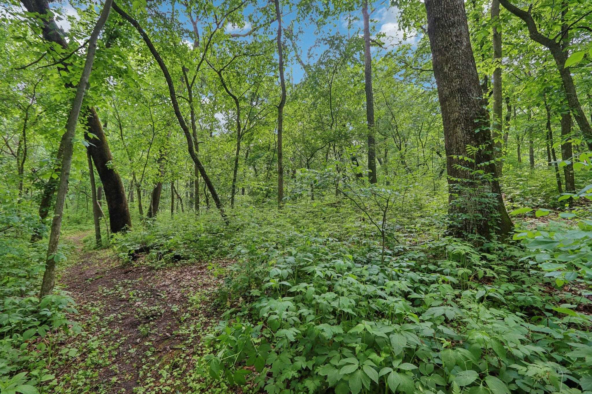 6221 Trail Ridge Court
