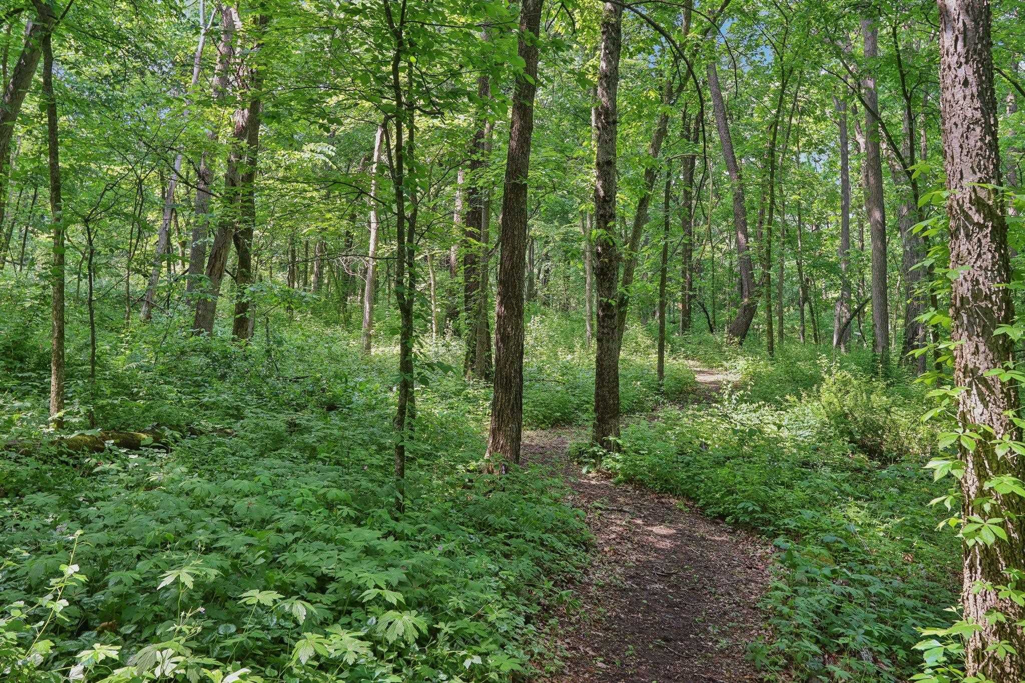 6221 Trail Ridge Court