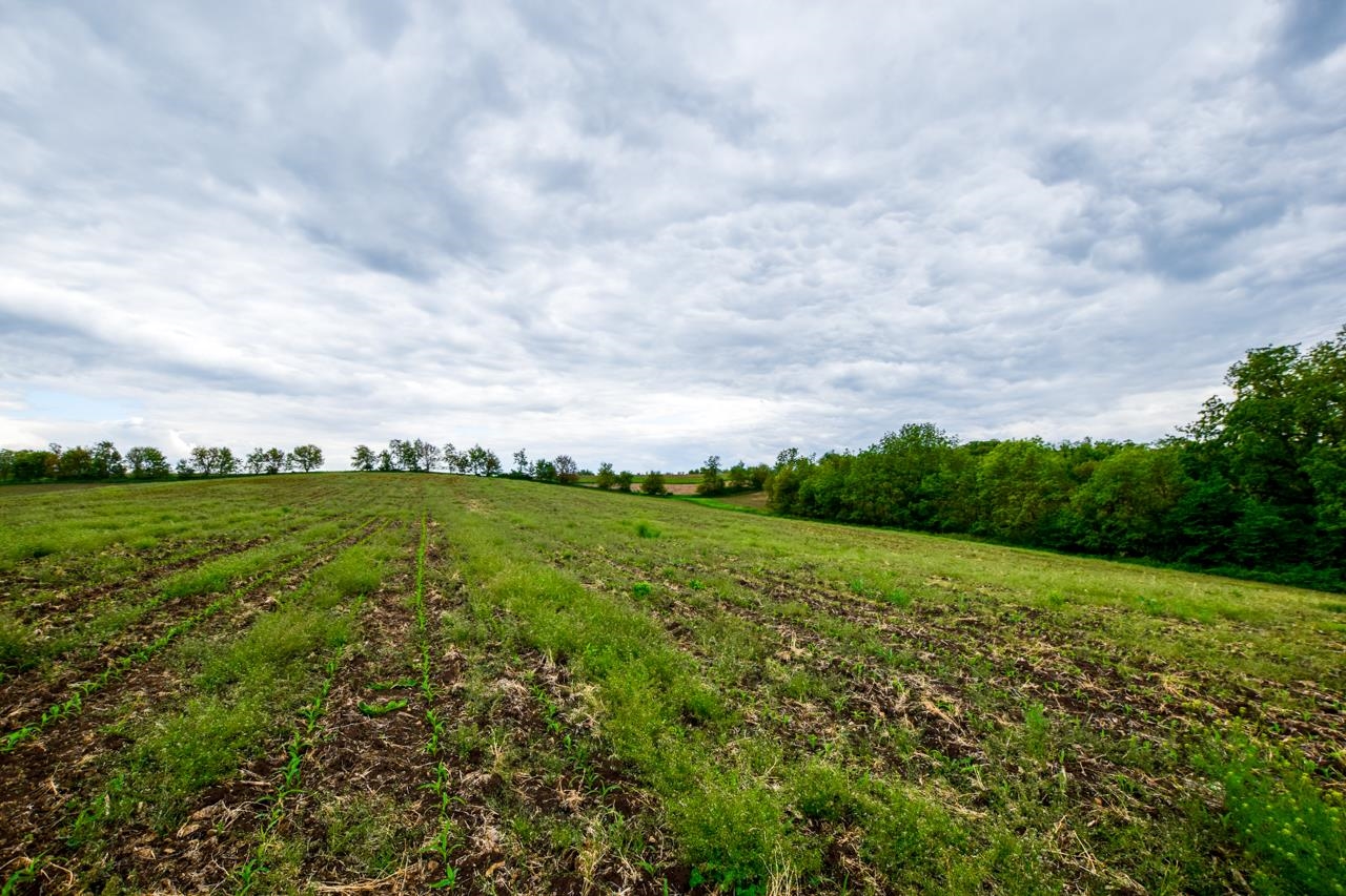 Lot 1 Dividing Ridge Road