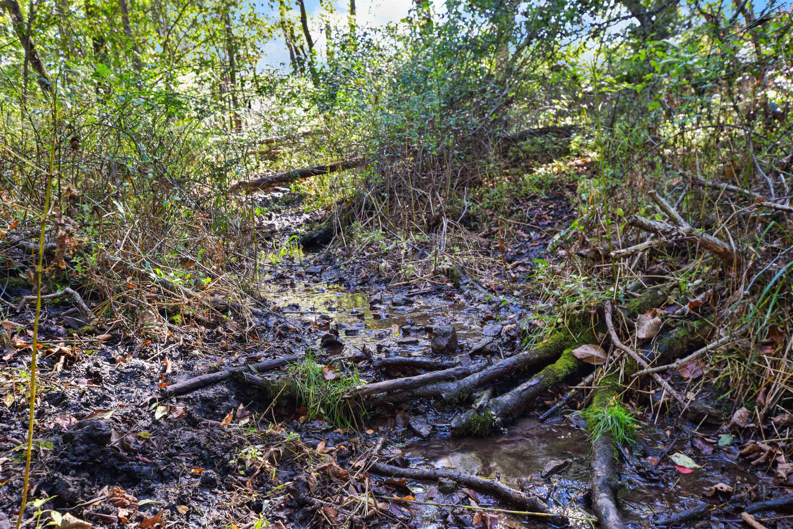 Lot 2 Dividing Ridge Road