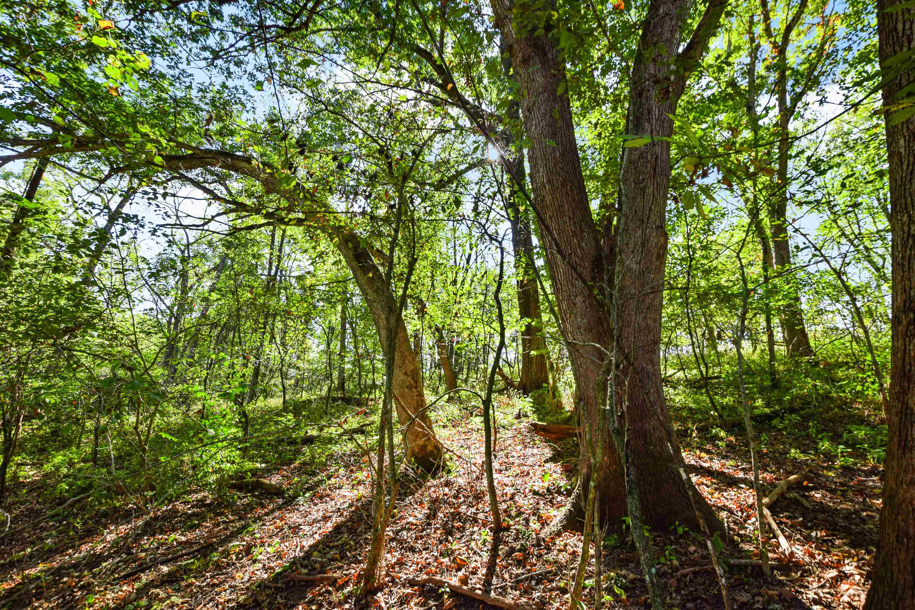 Lot 2 Dividing Ridge Road