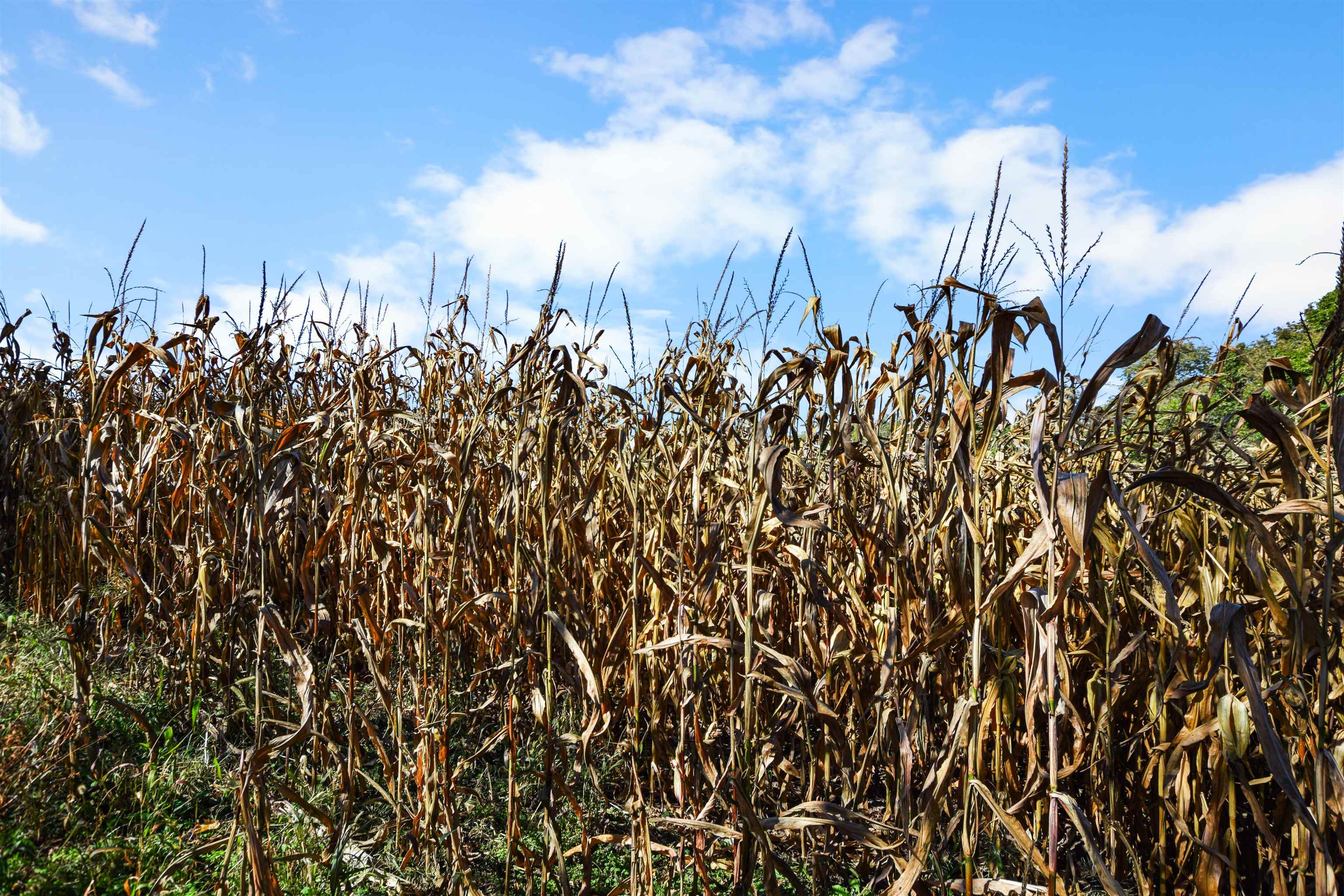 Lot 2 Dividing Ridge Road