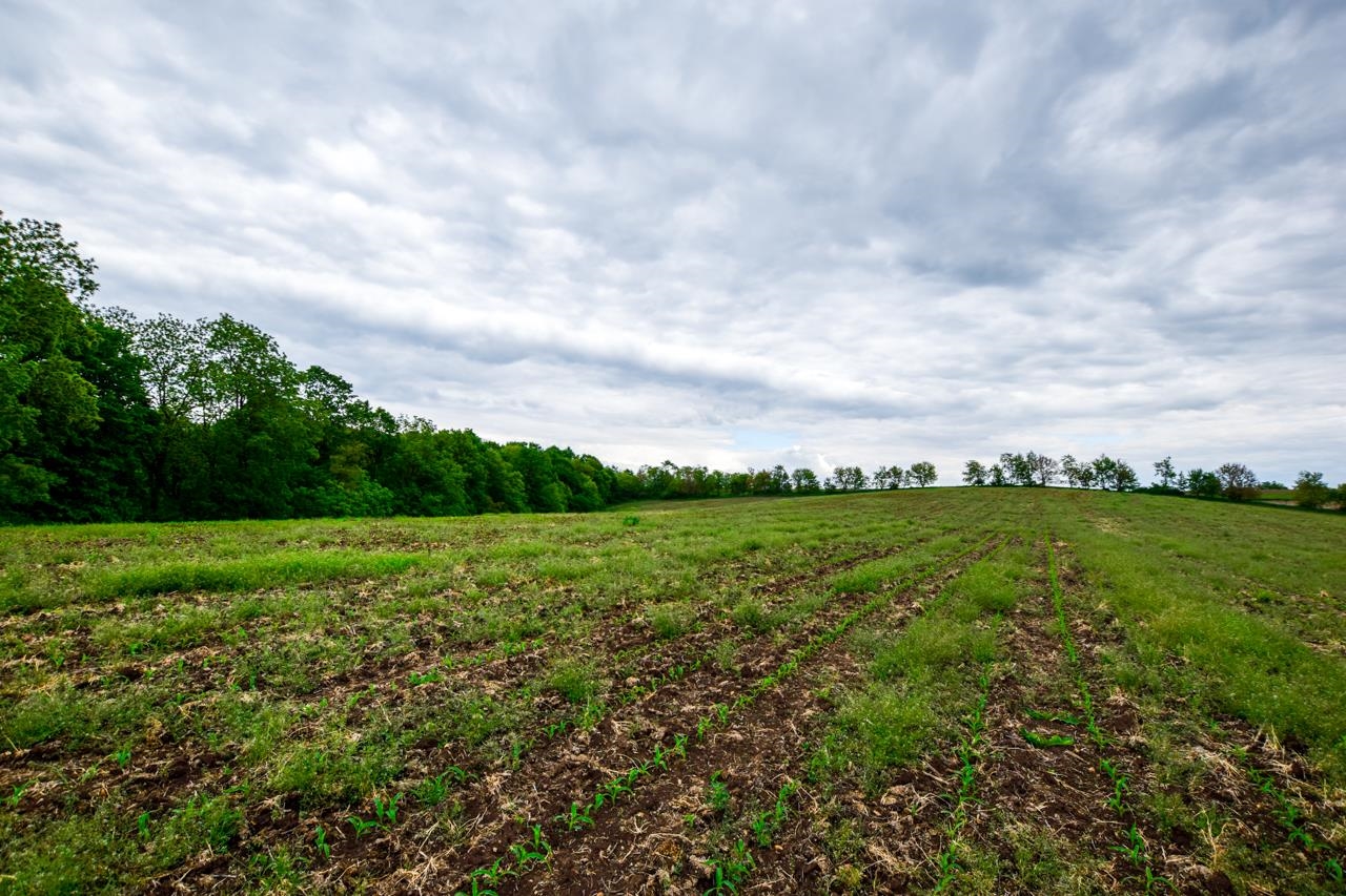 Lot 2 Dividing Ridge Road
