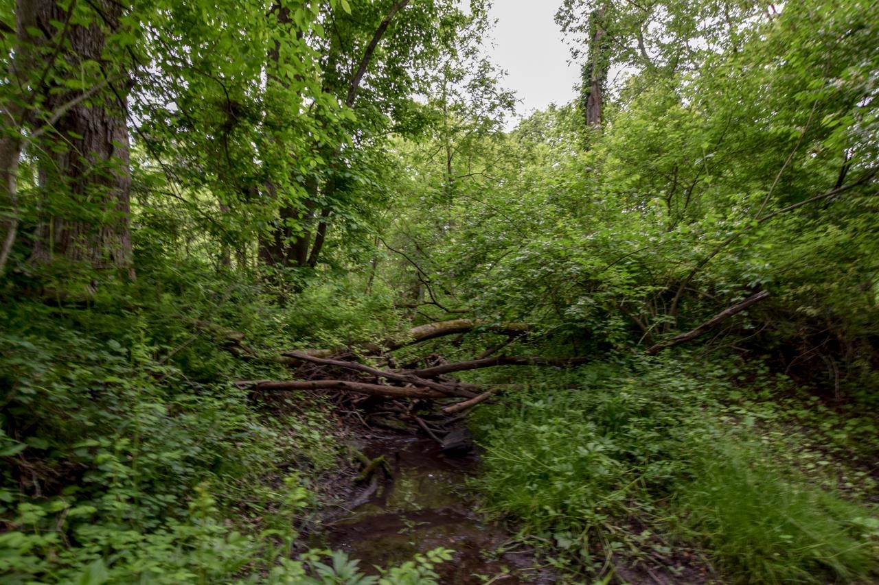 Lot 2 Dividing Ridge Road