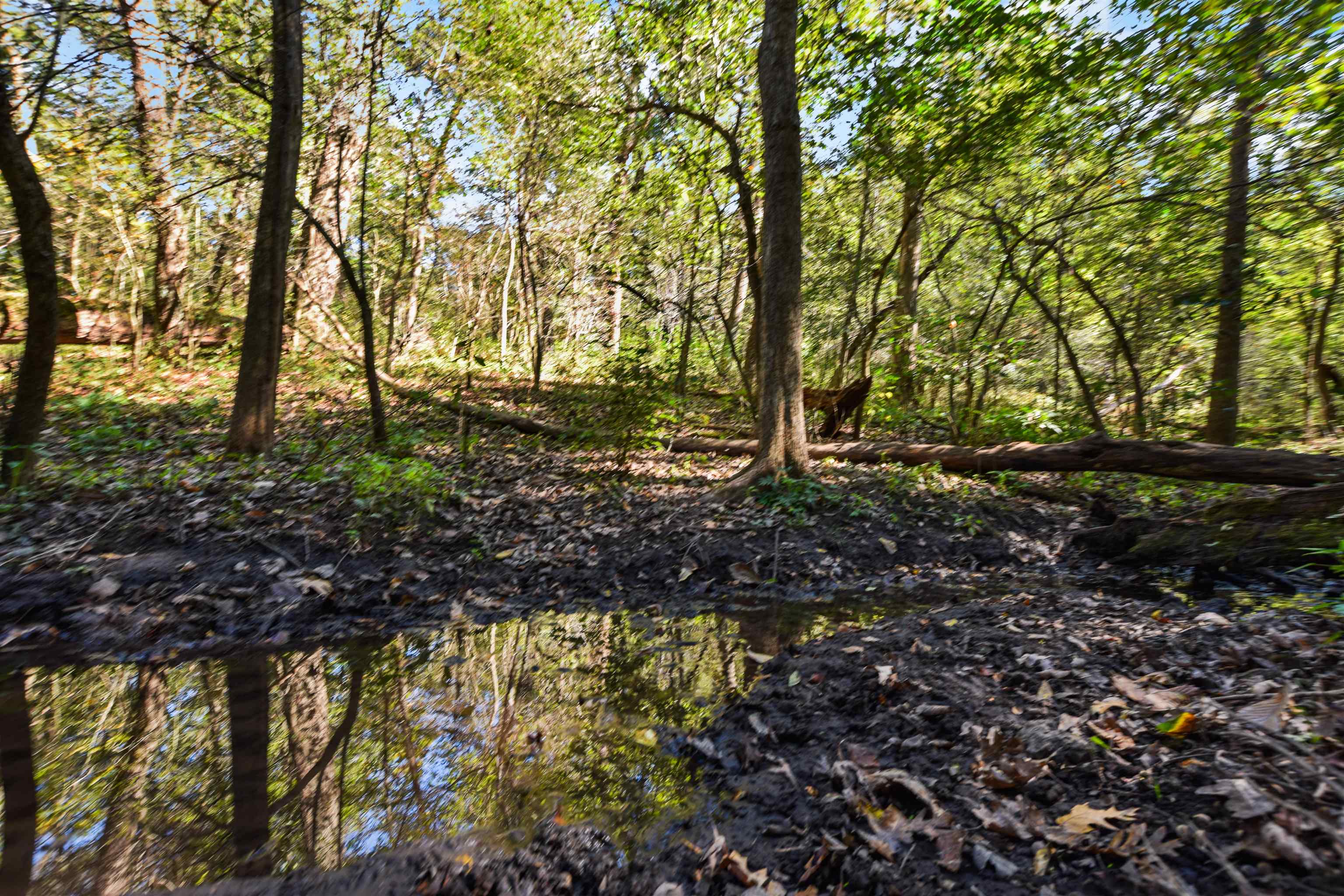 Lot 2 Dividing Ridge Road