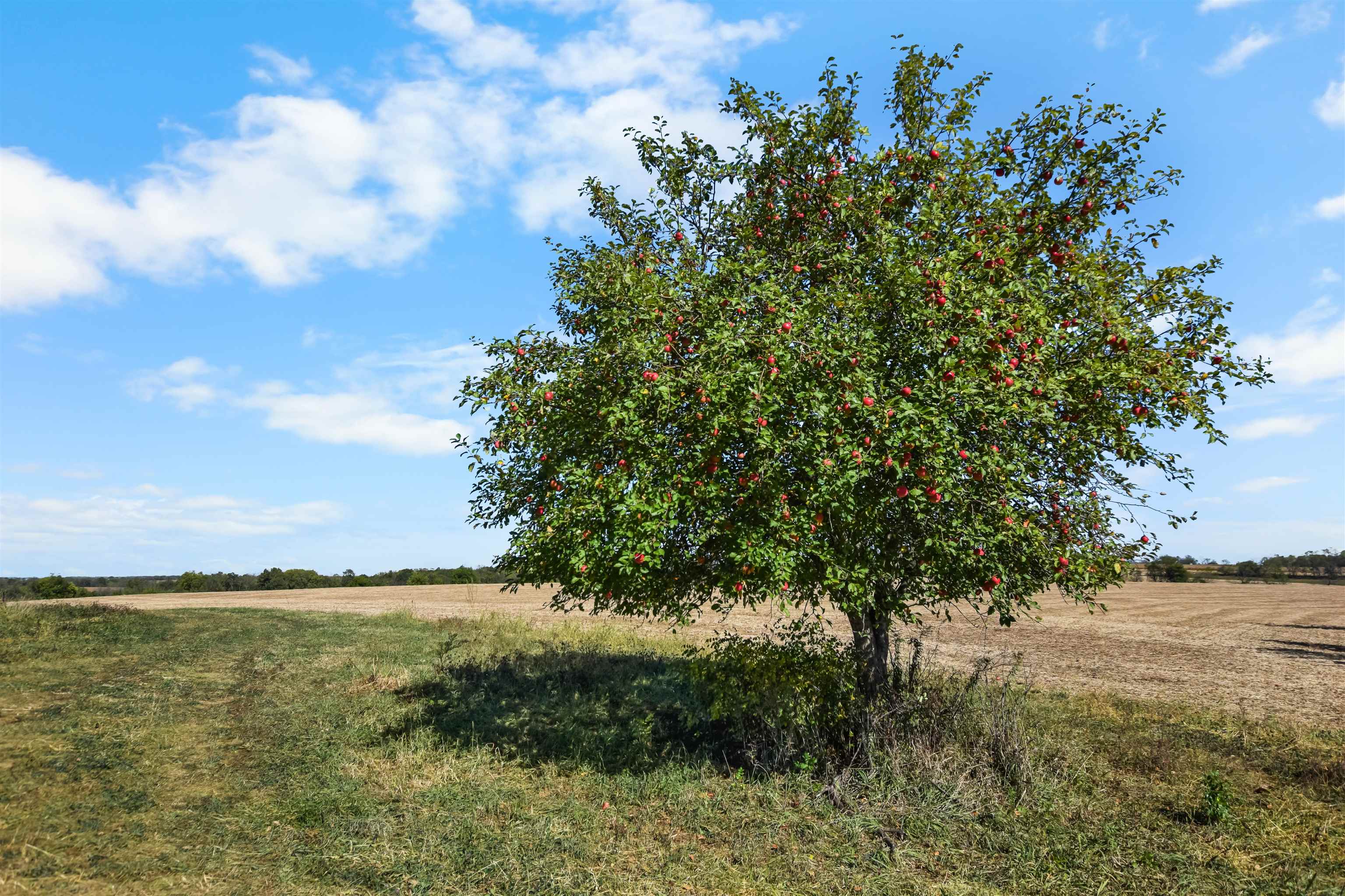 Lot 3 Dividing Ridge Road
