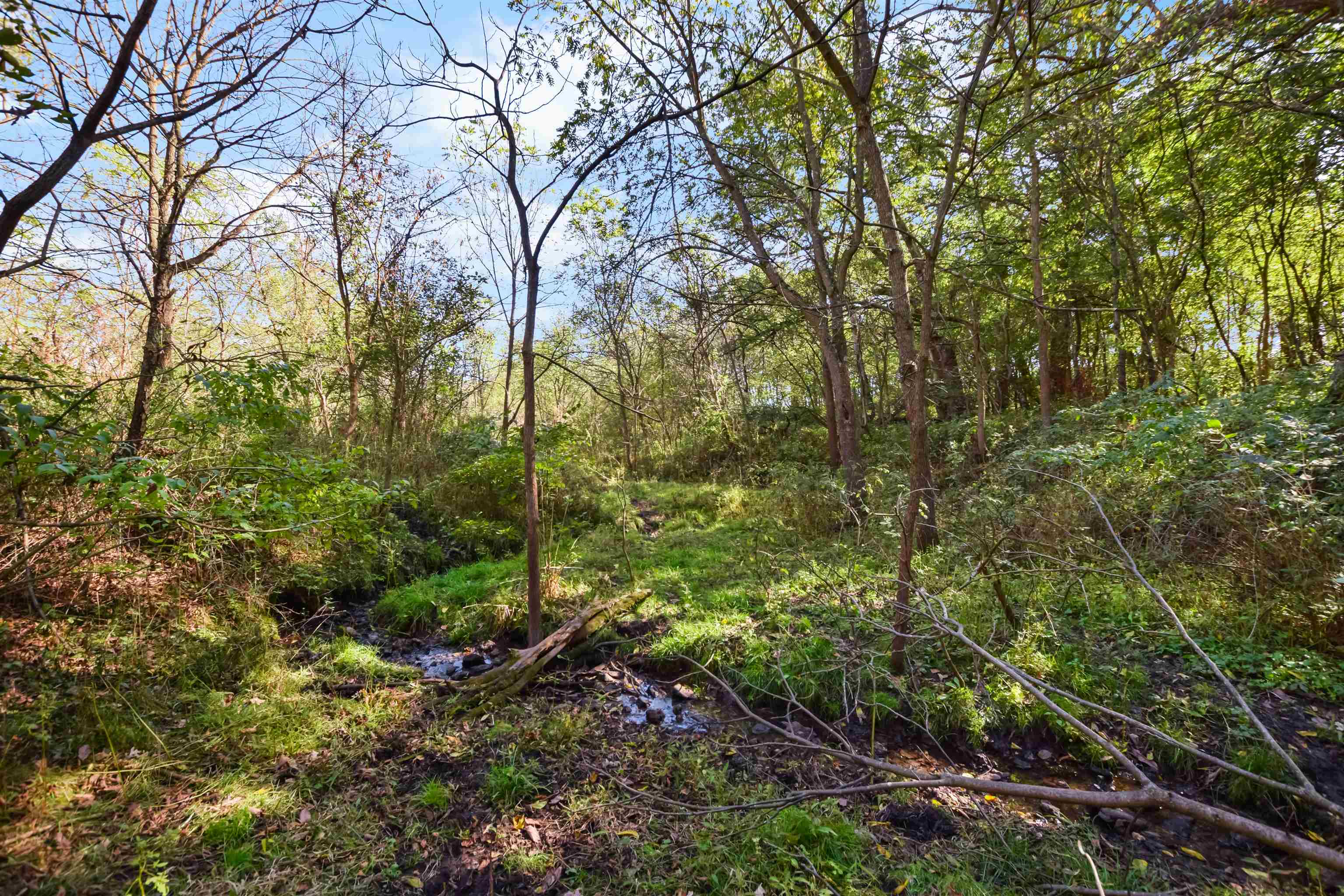 Lot 5 Dividing Ridge Road