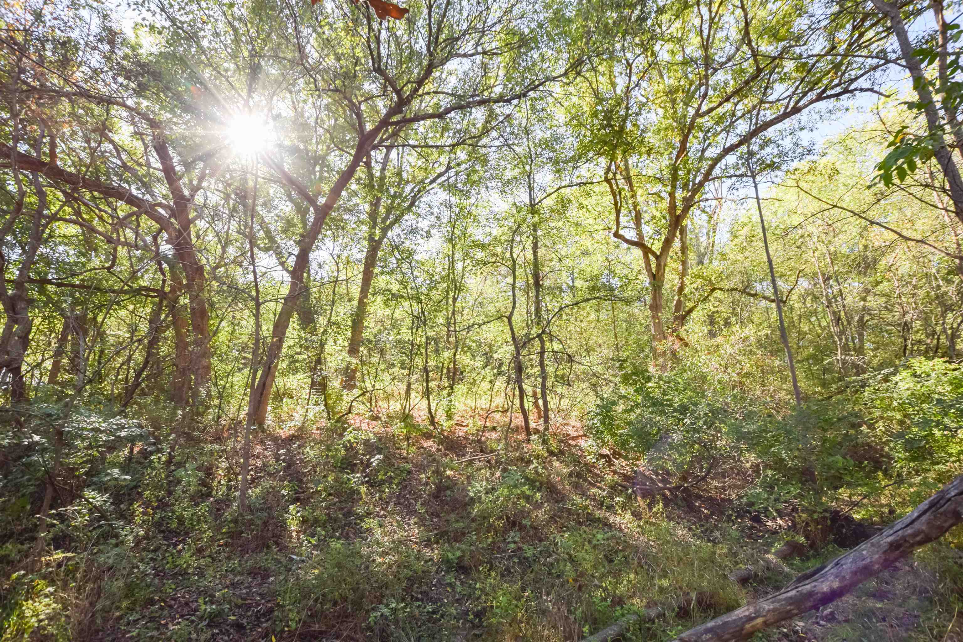 Lot 5 Dividing Ridge Road