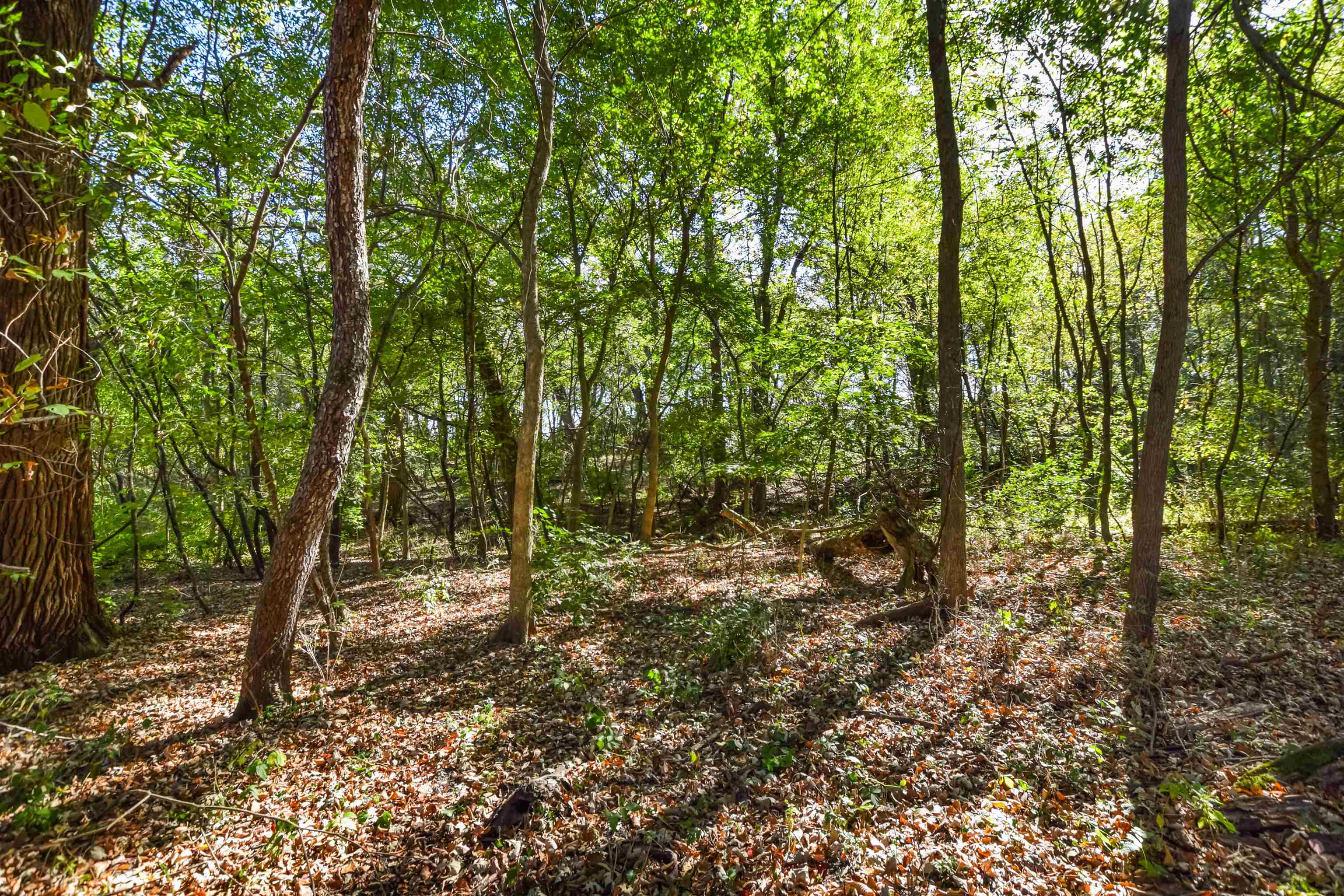 Lot 6 Dividing Ridge Road