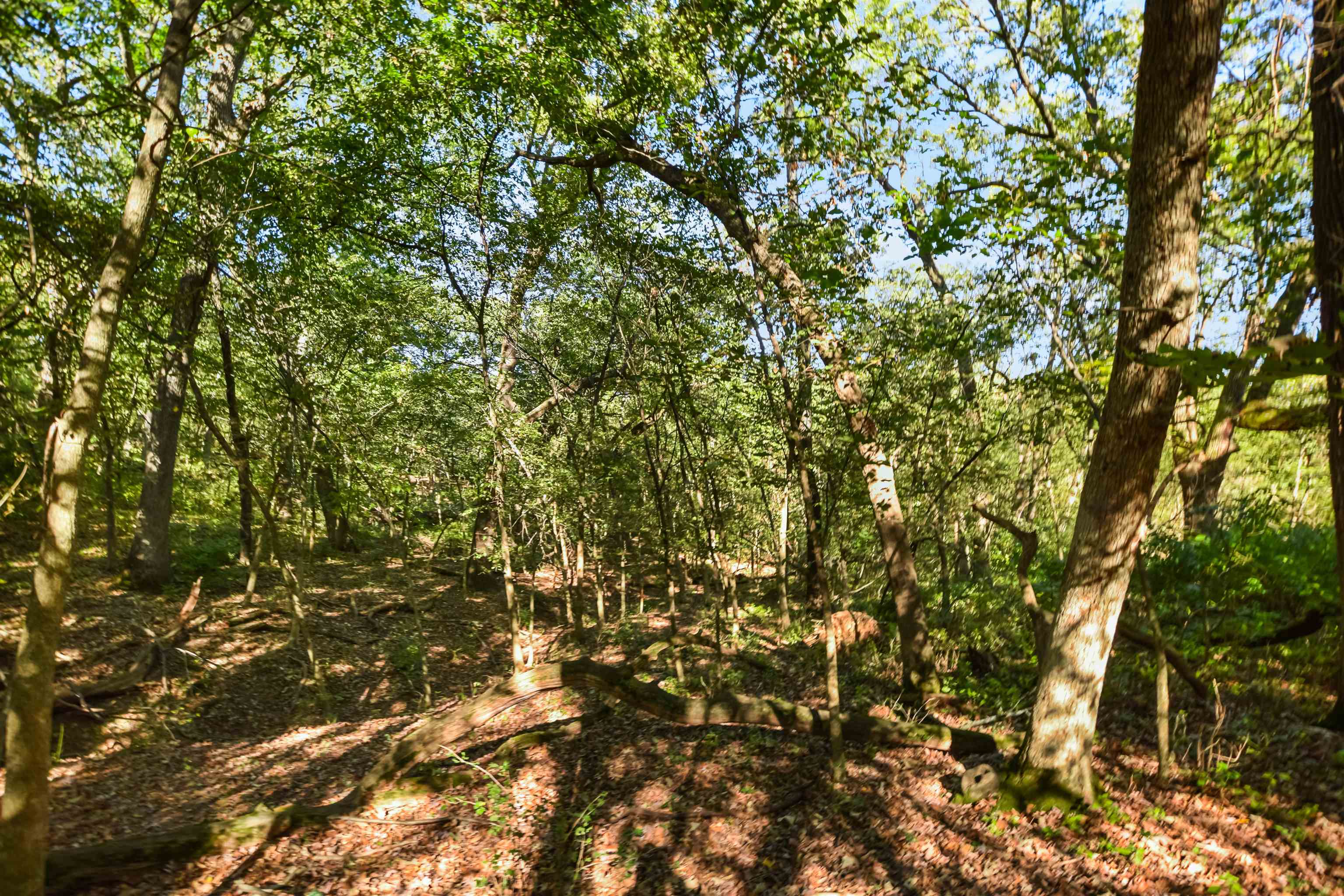 Lot 6 Dividing Ridge Road