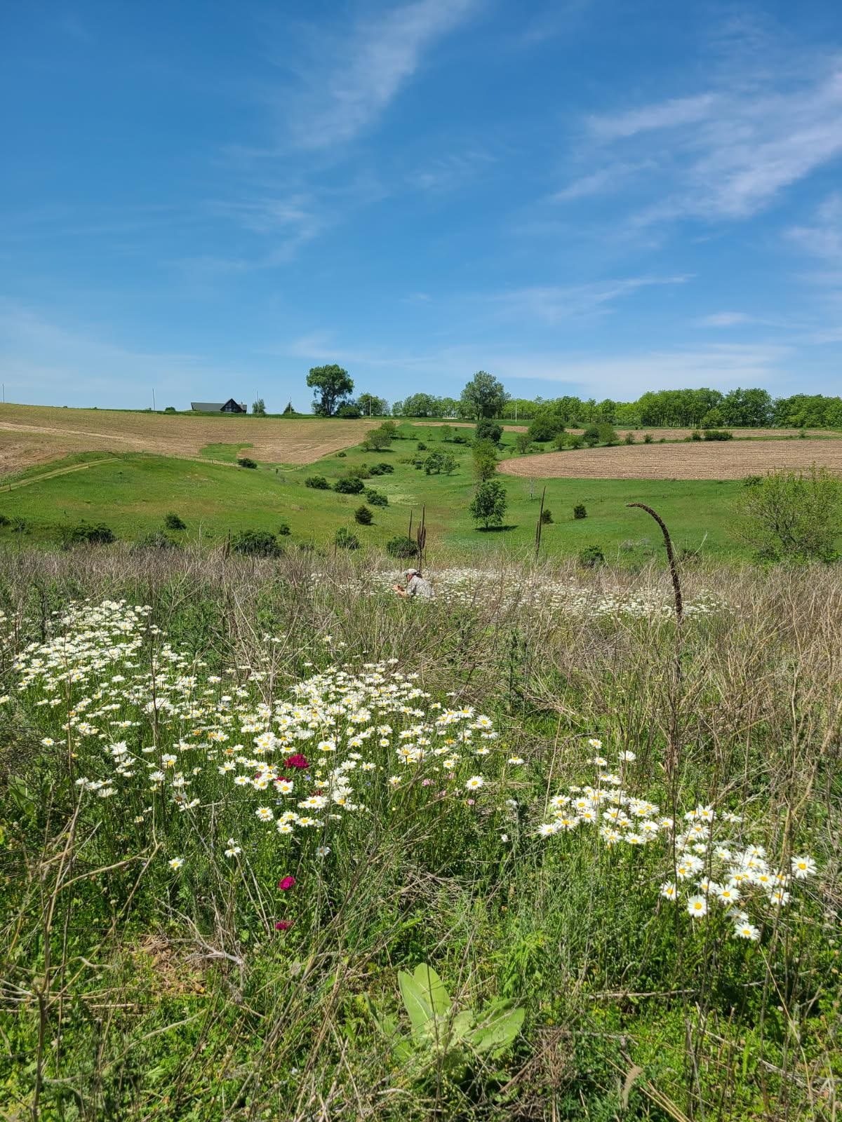 L2 N Hay Hollow Road
