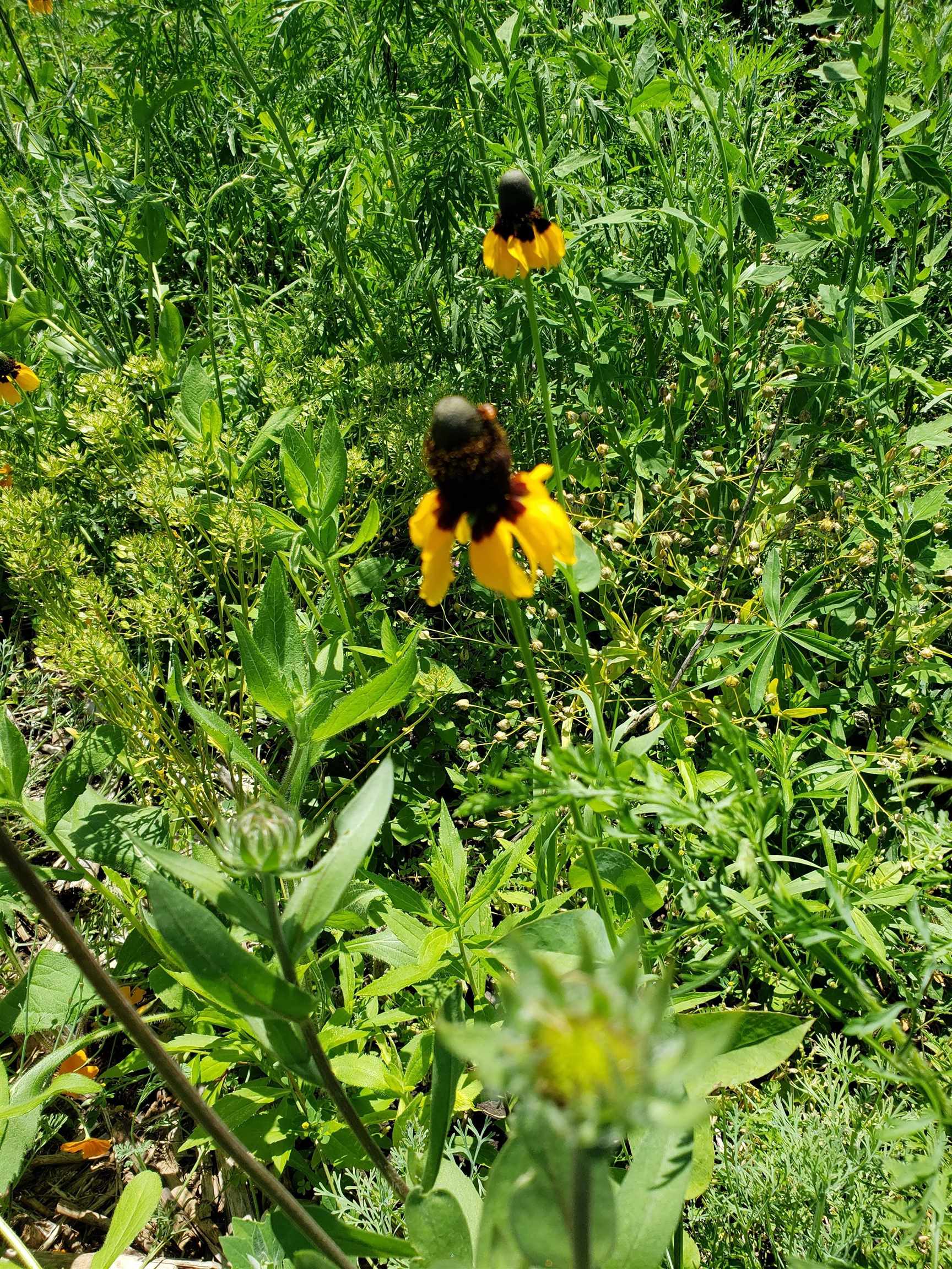 L2 N Hay Hollow Road
