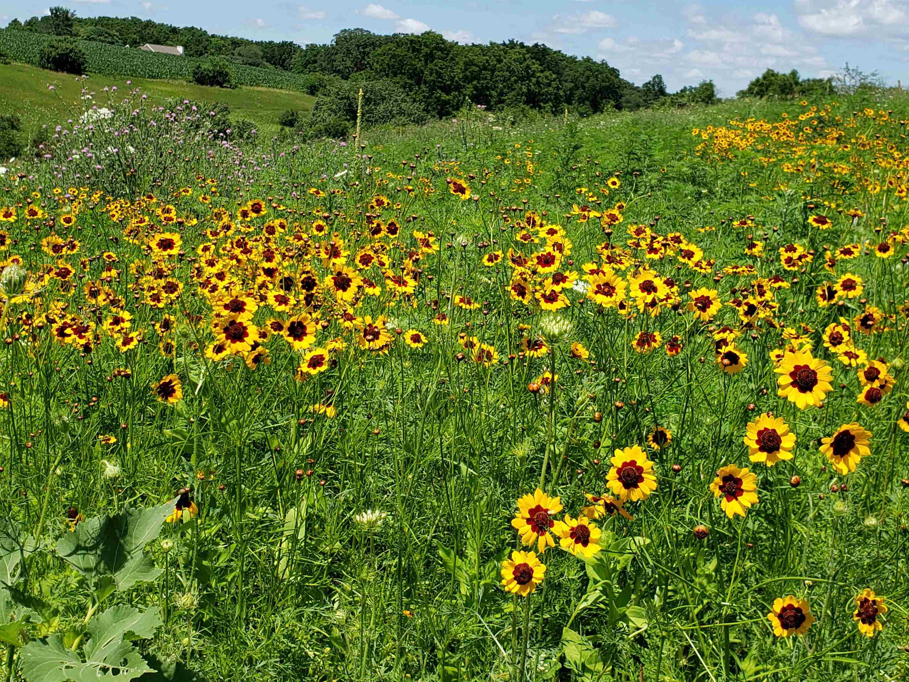 L2 N Hay Hollow Road