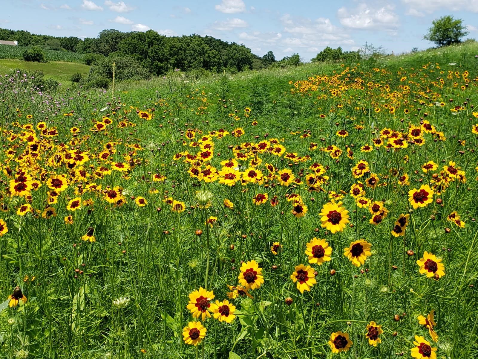 L2 N Hay Hollow Road