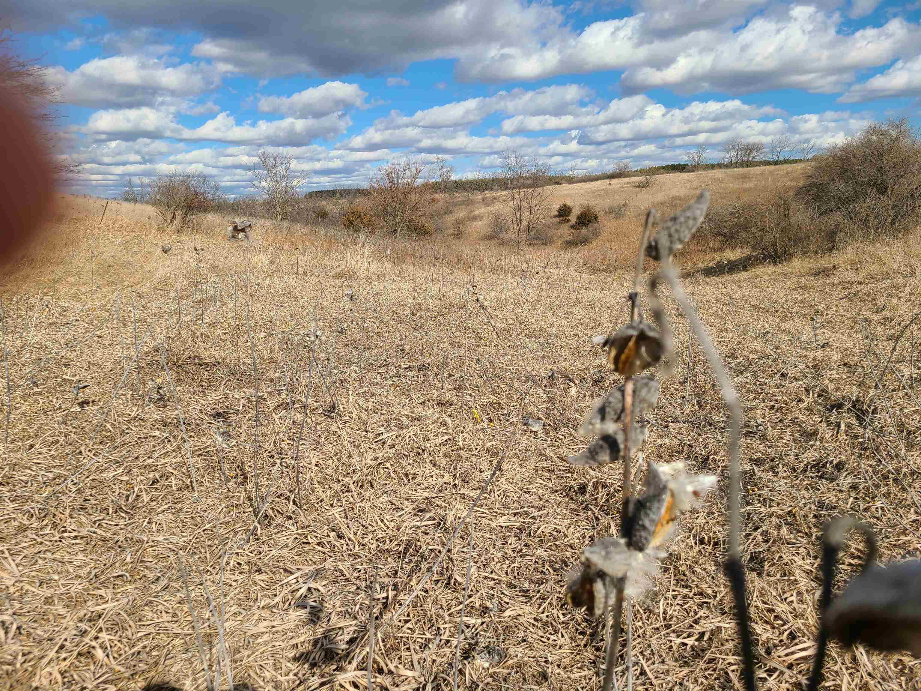 L2 N Hay Hollow Road
