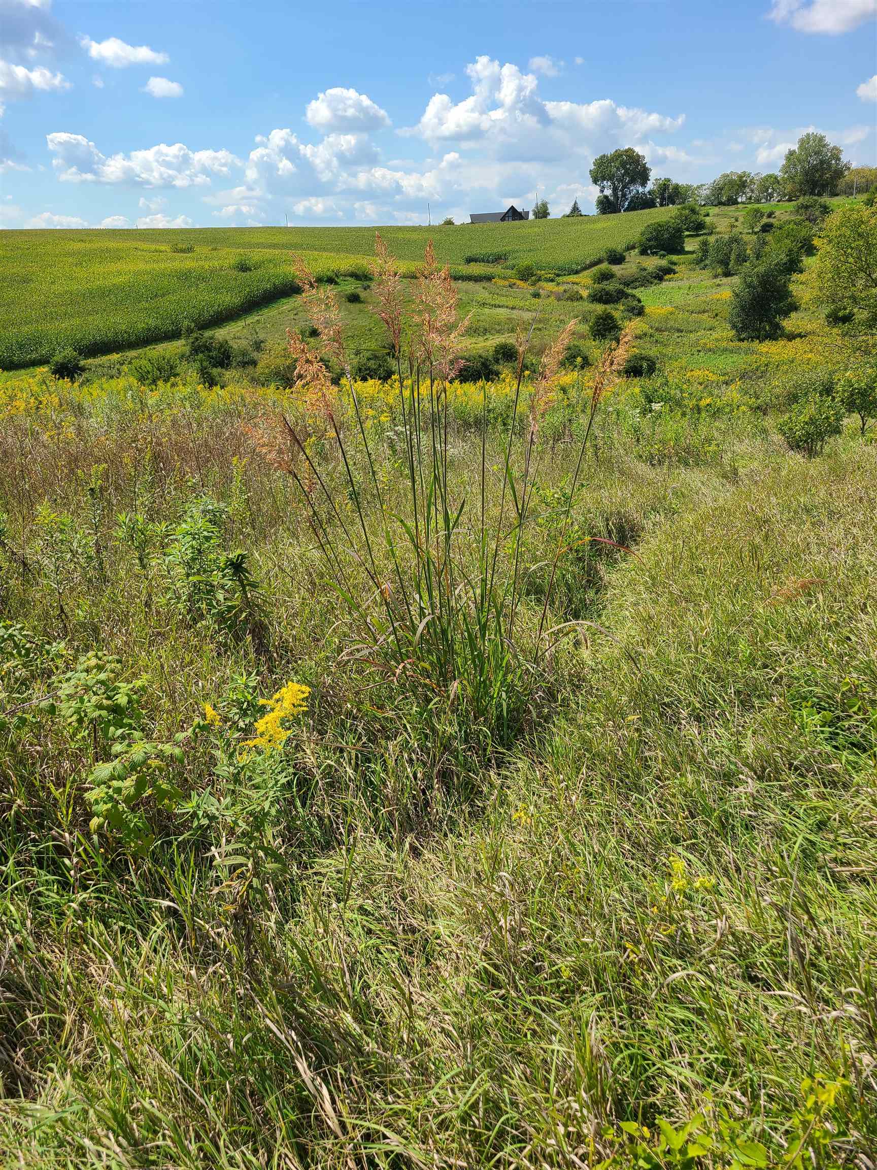 L2 N Hay Hollow Road