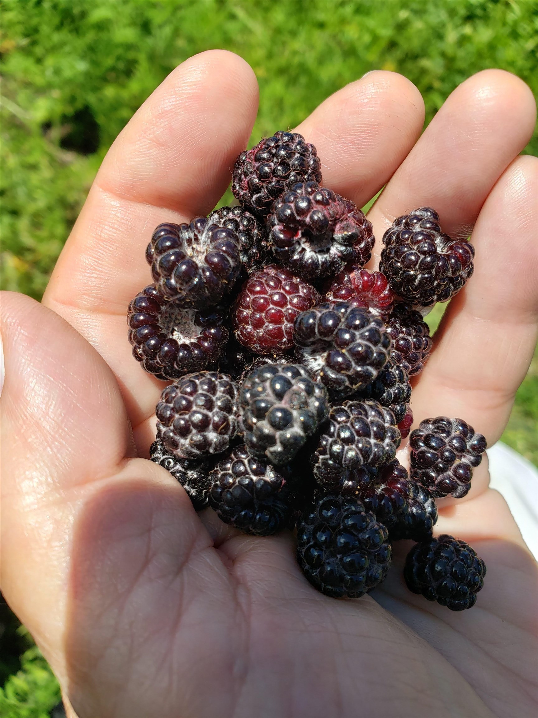 L2 N Hay Hollow Road